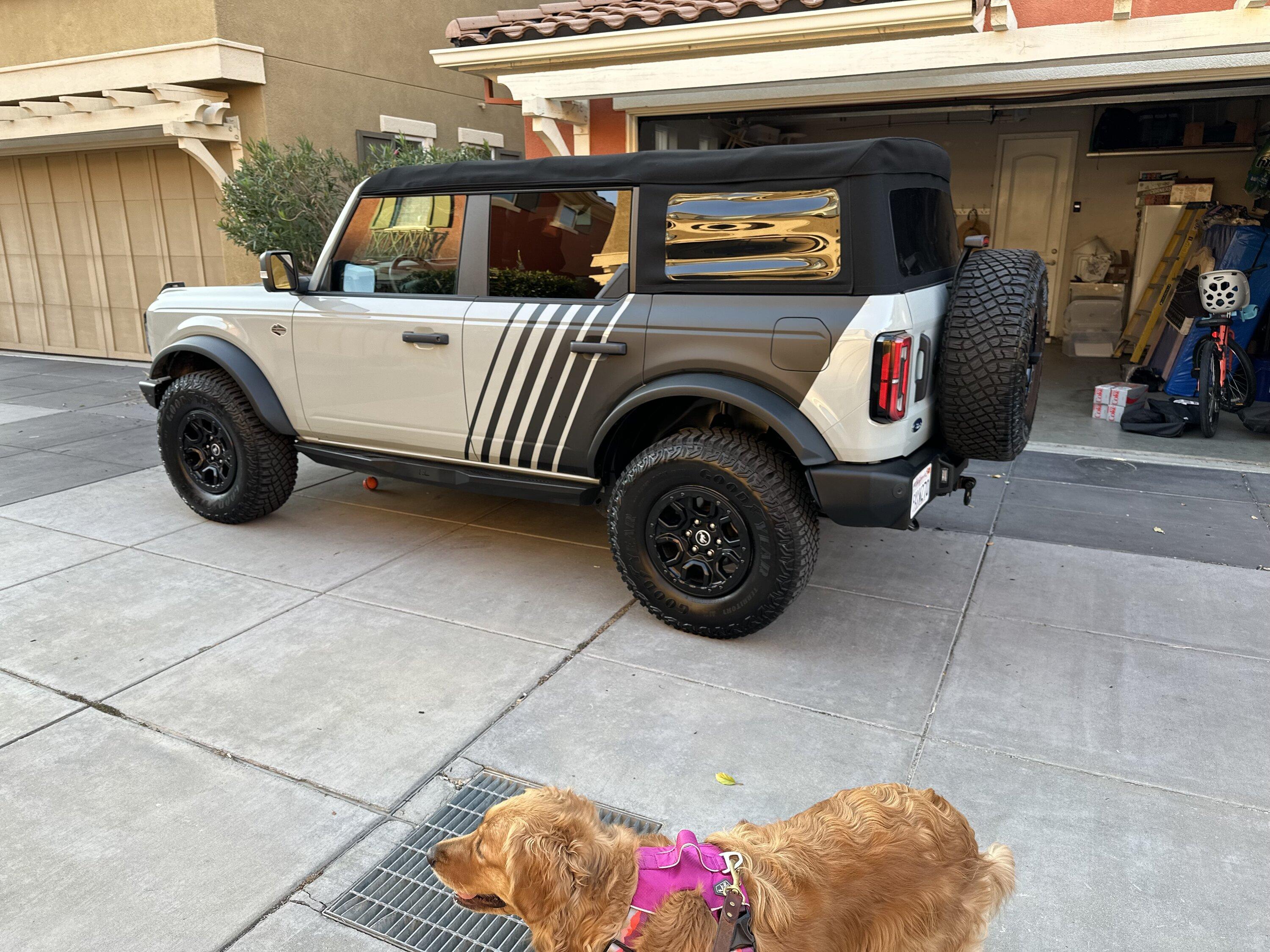 Ford Bronco Hello from SF Bay Area, Ca 68731498950__9A9D90D1-B9EB-4F63-93EF-5828F478869A