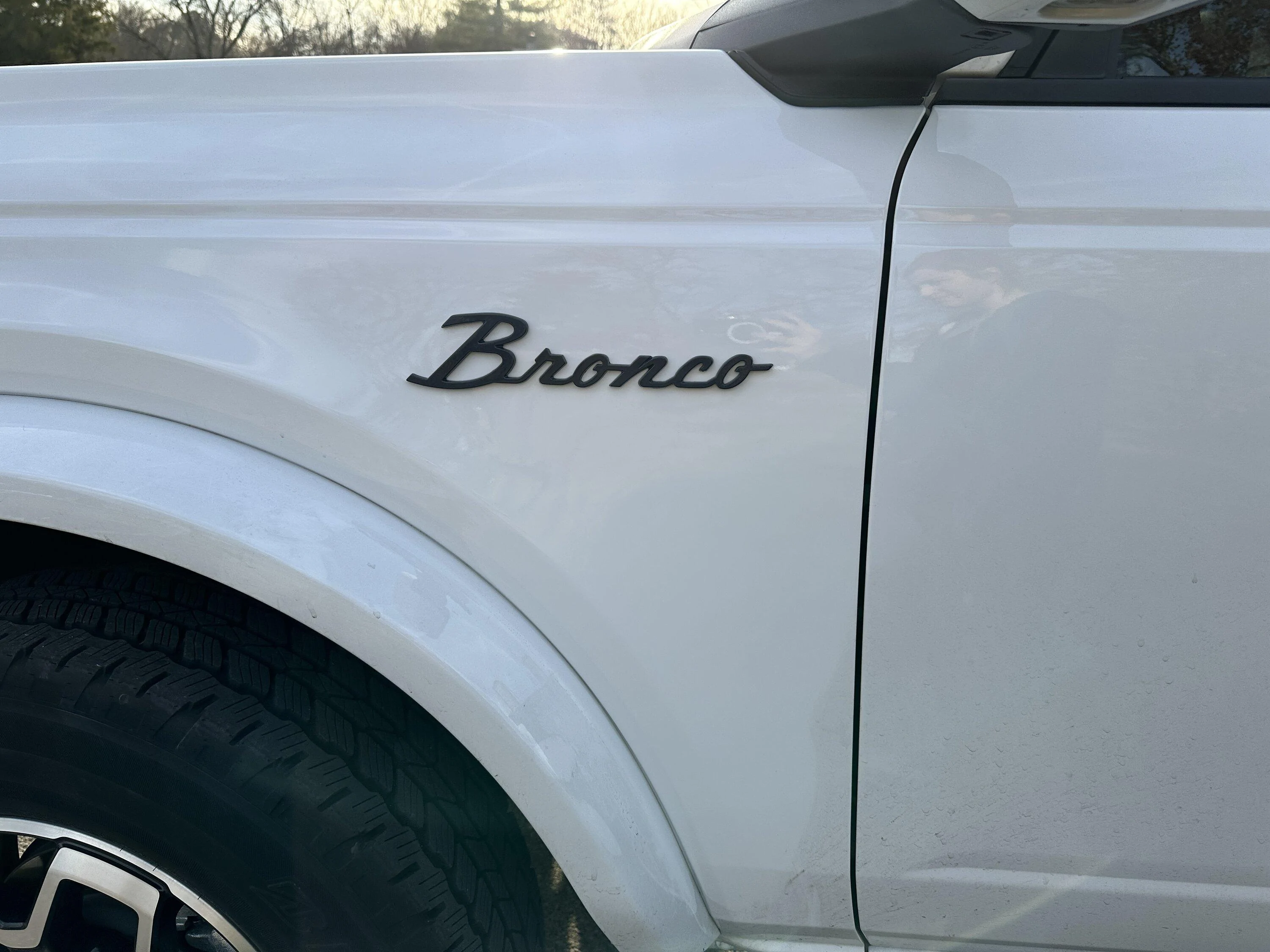 Ford Bronco Retro/new emblems BE74FA65-FCBA-4B7C-995F-388E70C78776