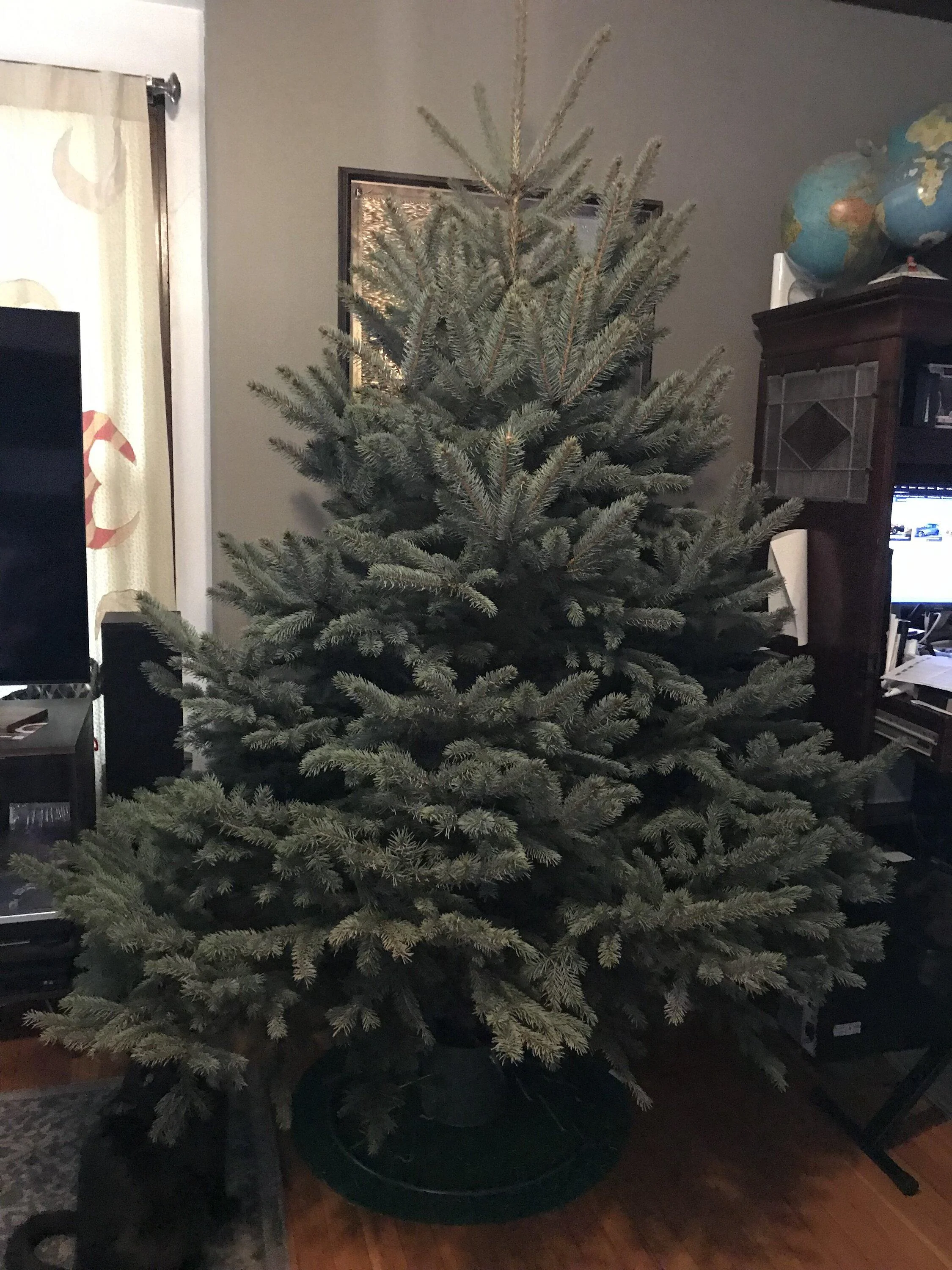 Ford Bronco Trees on trucks! Show us your Christmas tree photos IMG-4124