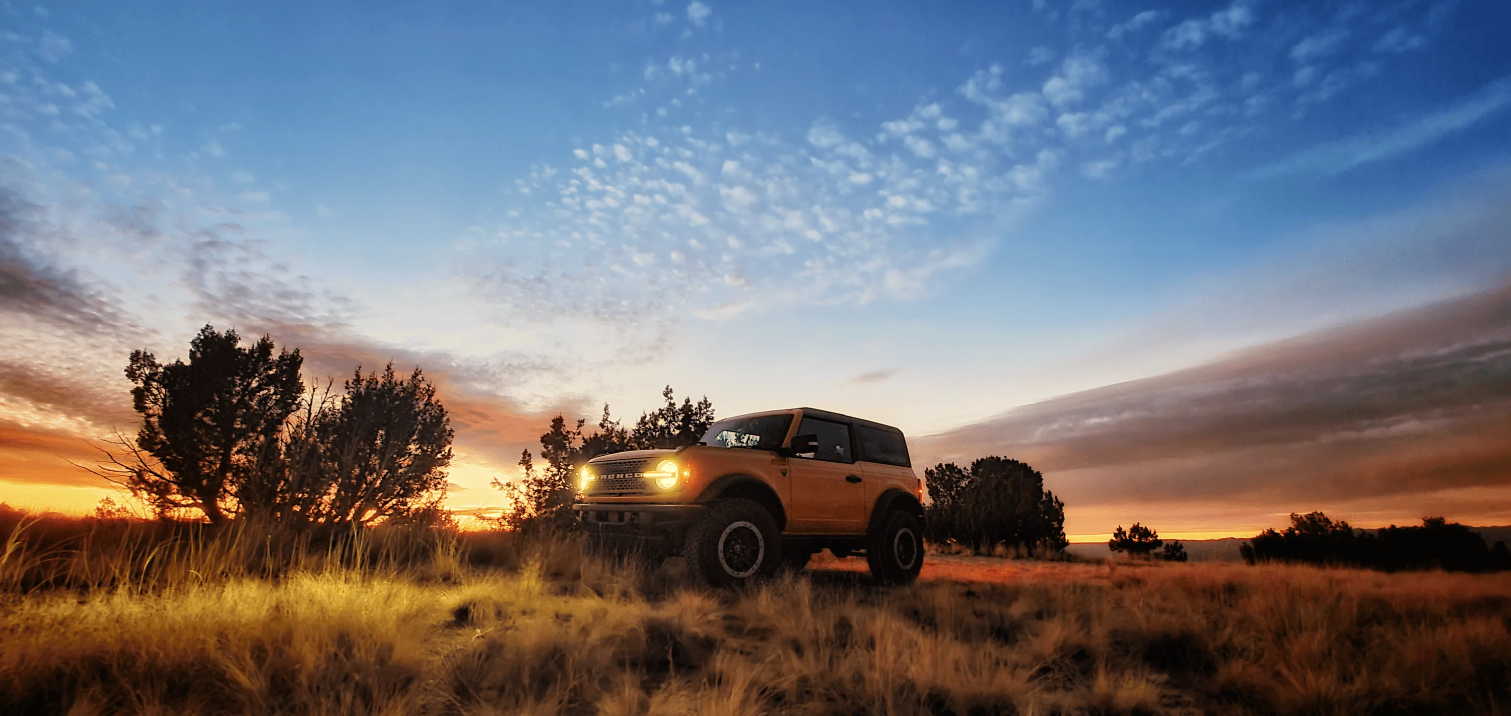 Ford Bronco Bronco Team 2 door. bronco ro