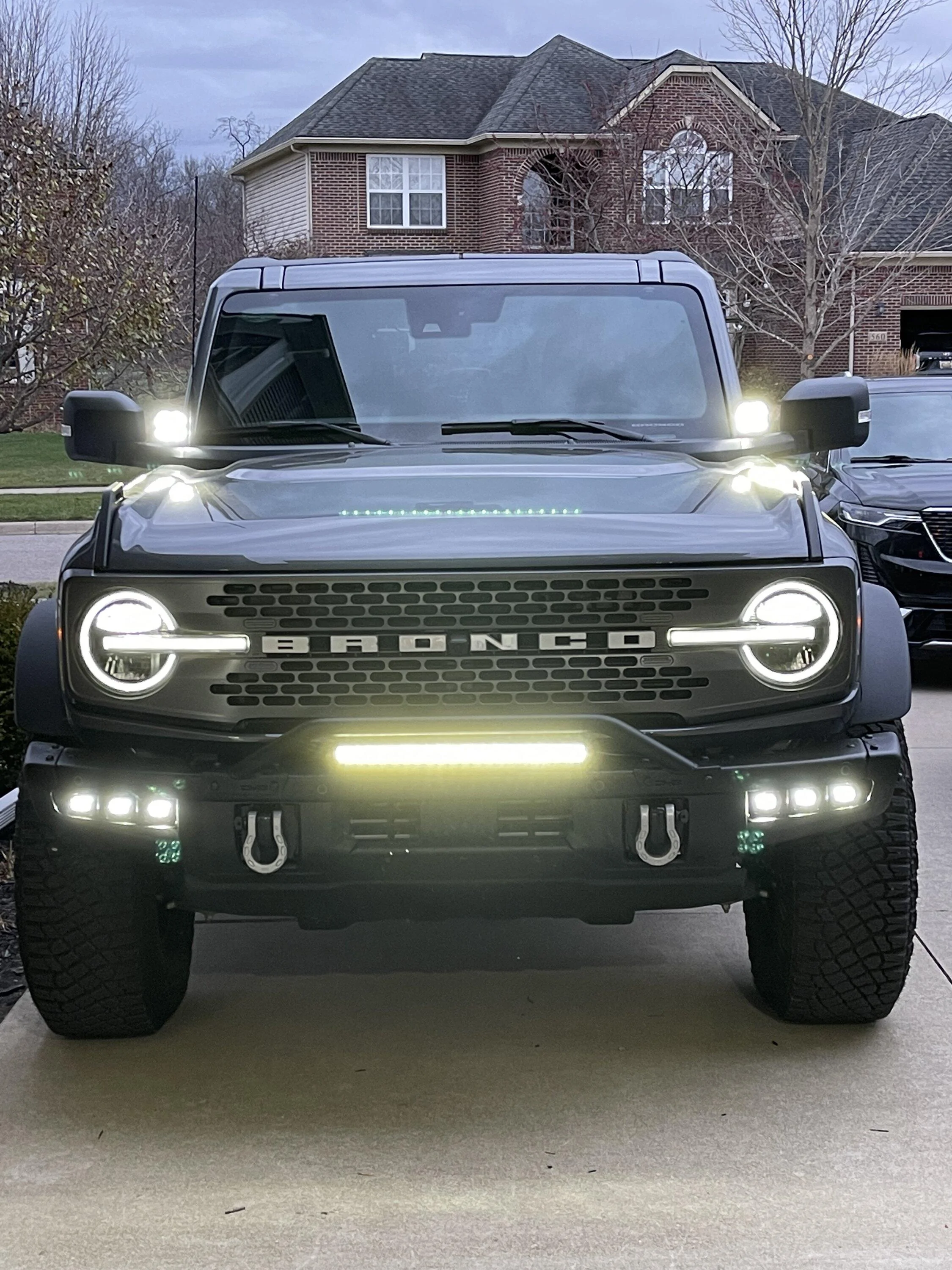 bronco_fogs.jpg