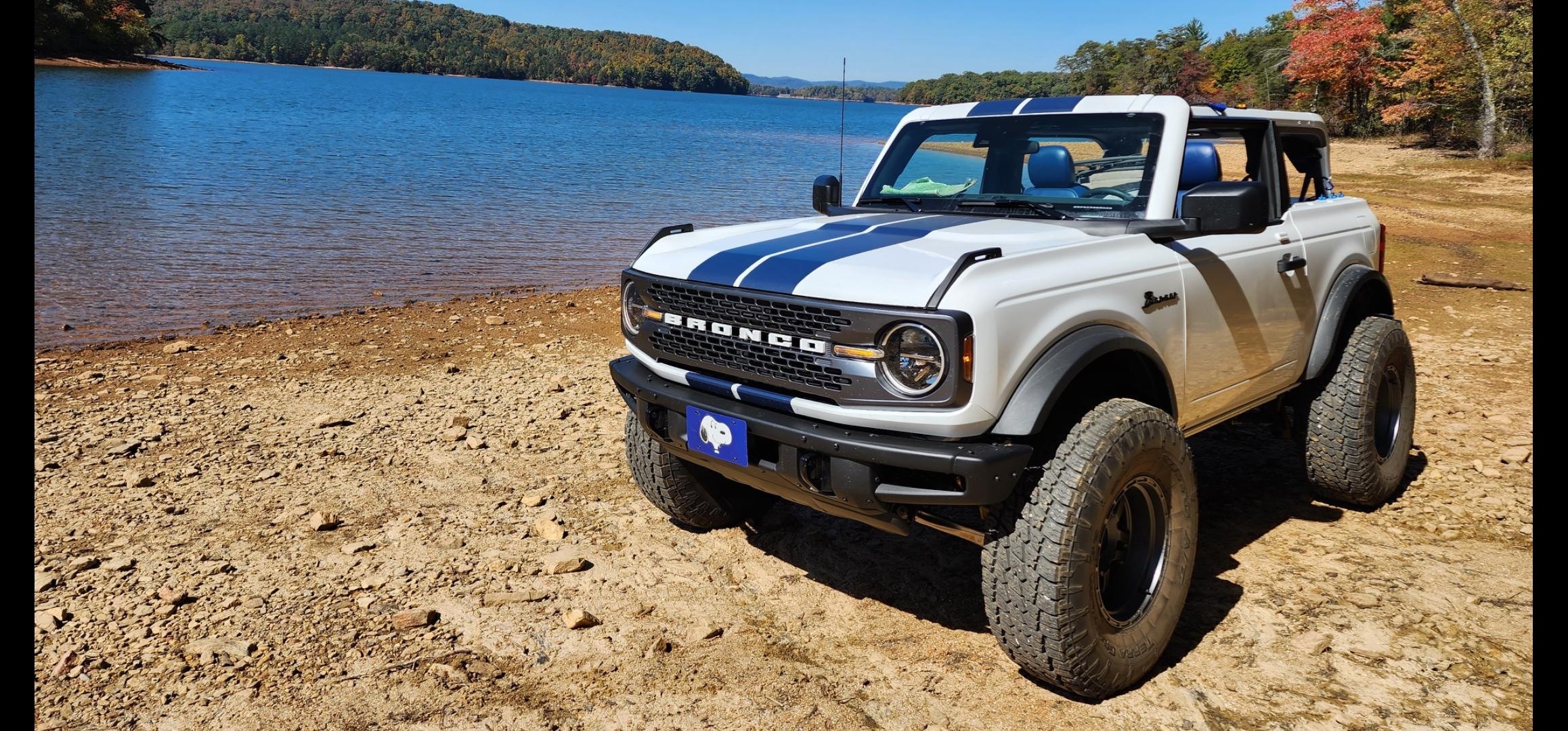 Ford Bronco Bronco Team 2 door. 1000000115