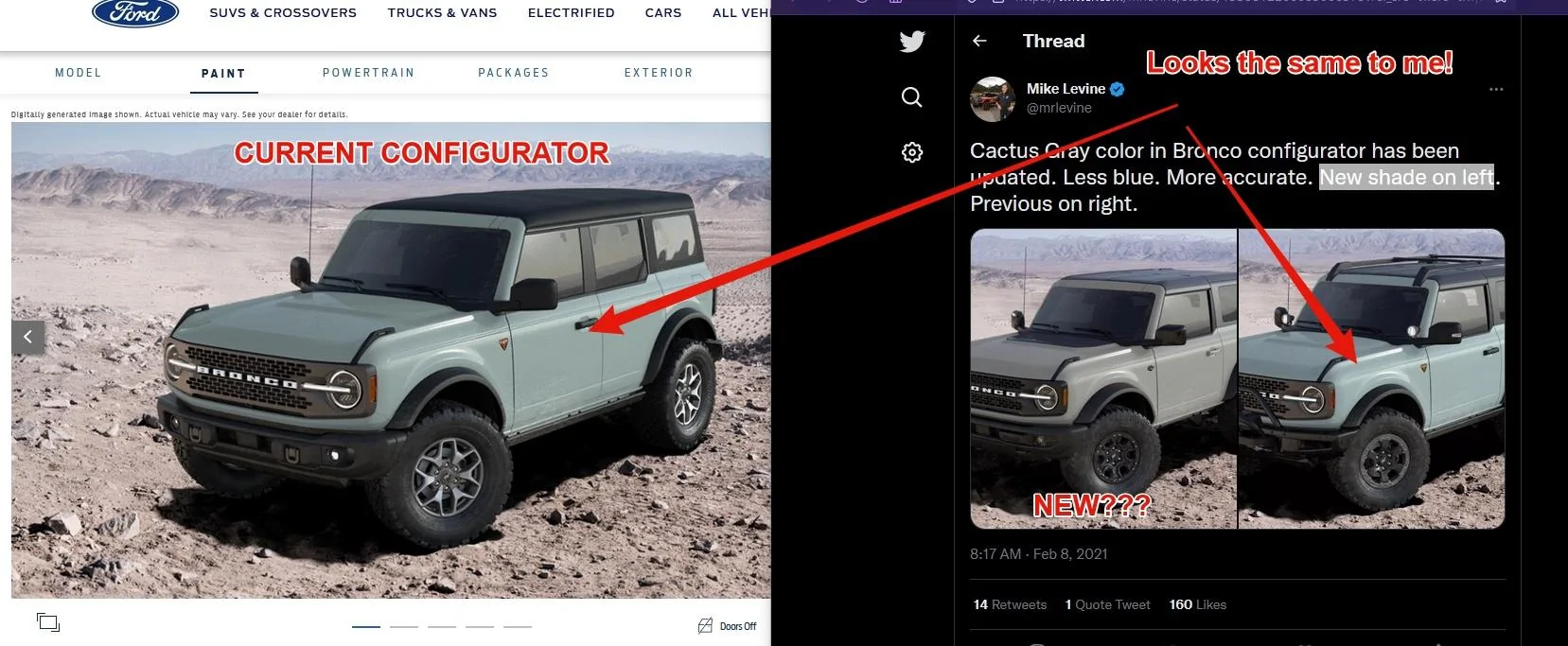 CactusGray.jpg
