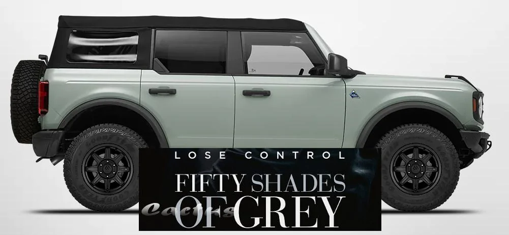 Ford Bronco Which is Cactus Gray exactly? cactus
