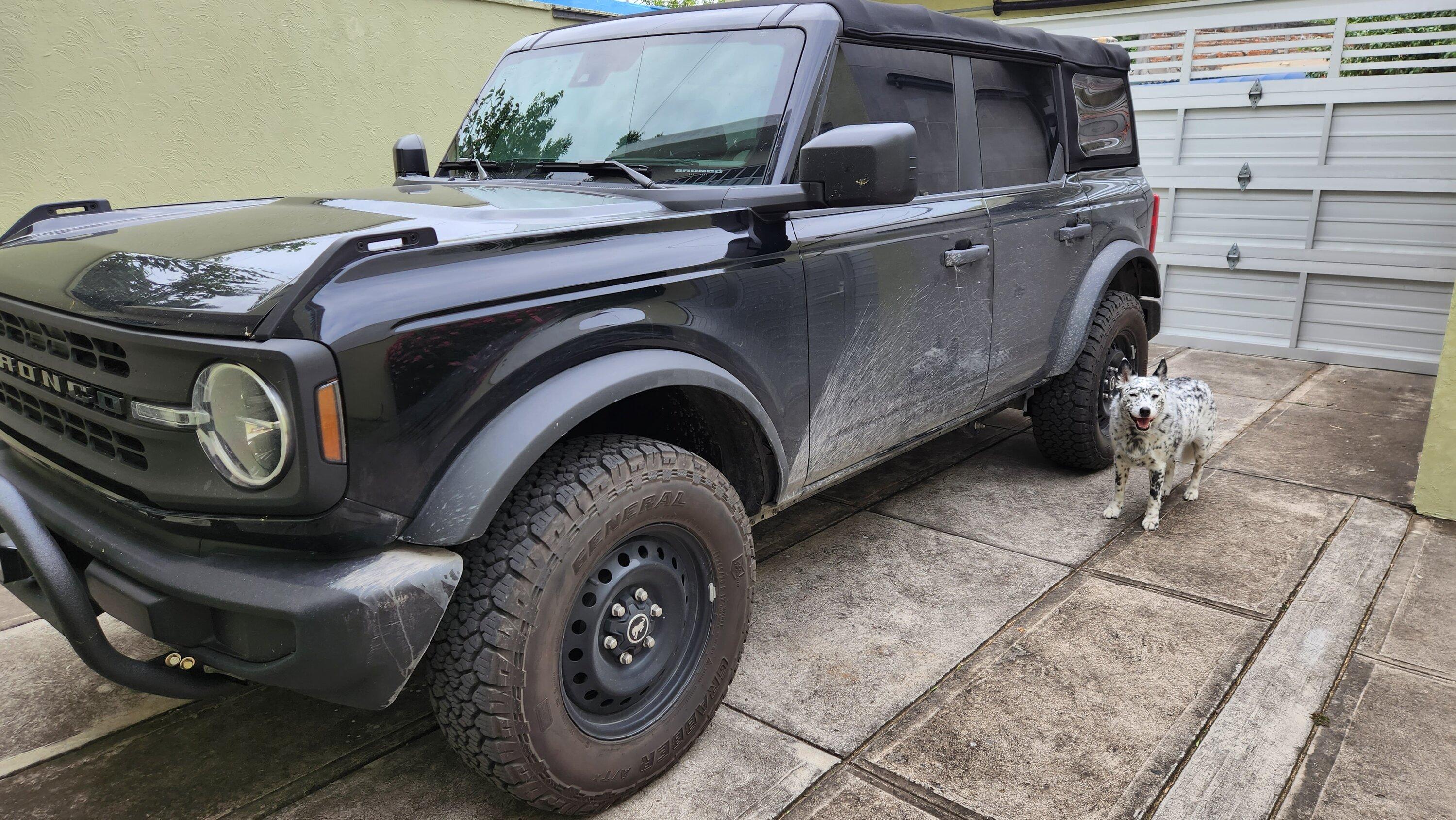 Ford Bronco Moved from Nevada to Costa Rica in a Base Bronco 2.3L 🗺️ 🚚 20221127_160509 (1)