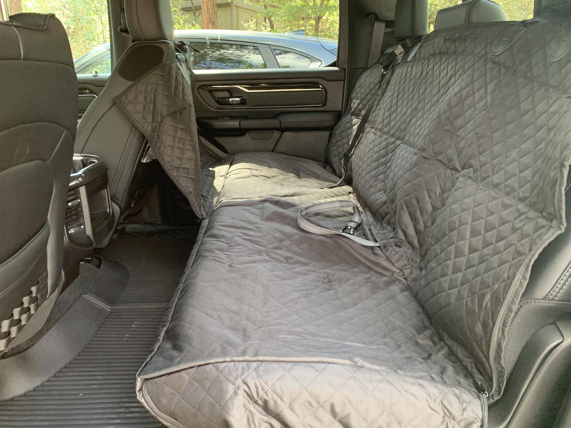 Ford Bronco Issues transporting your good puppy dog? IMG-3169