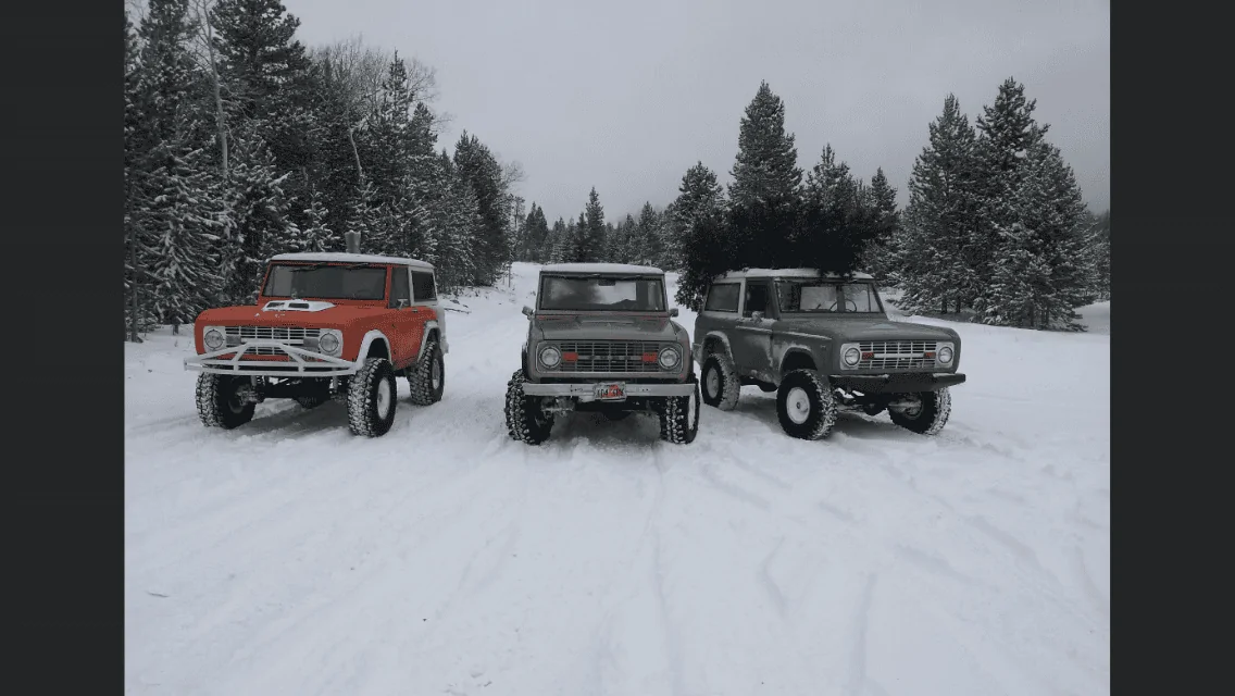 Ford Bronco Transported Christmas tree on soft top Bronco christmas tree hunt