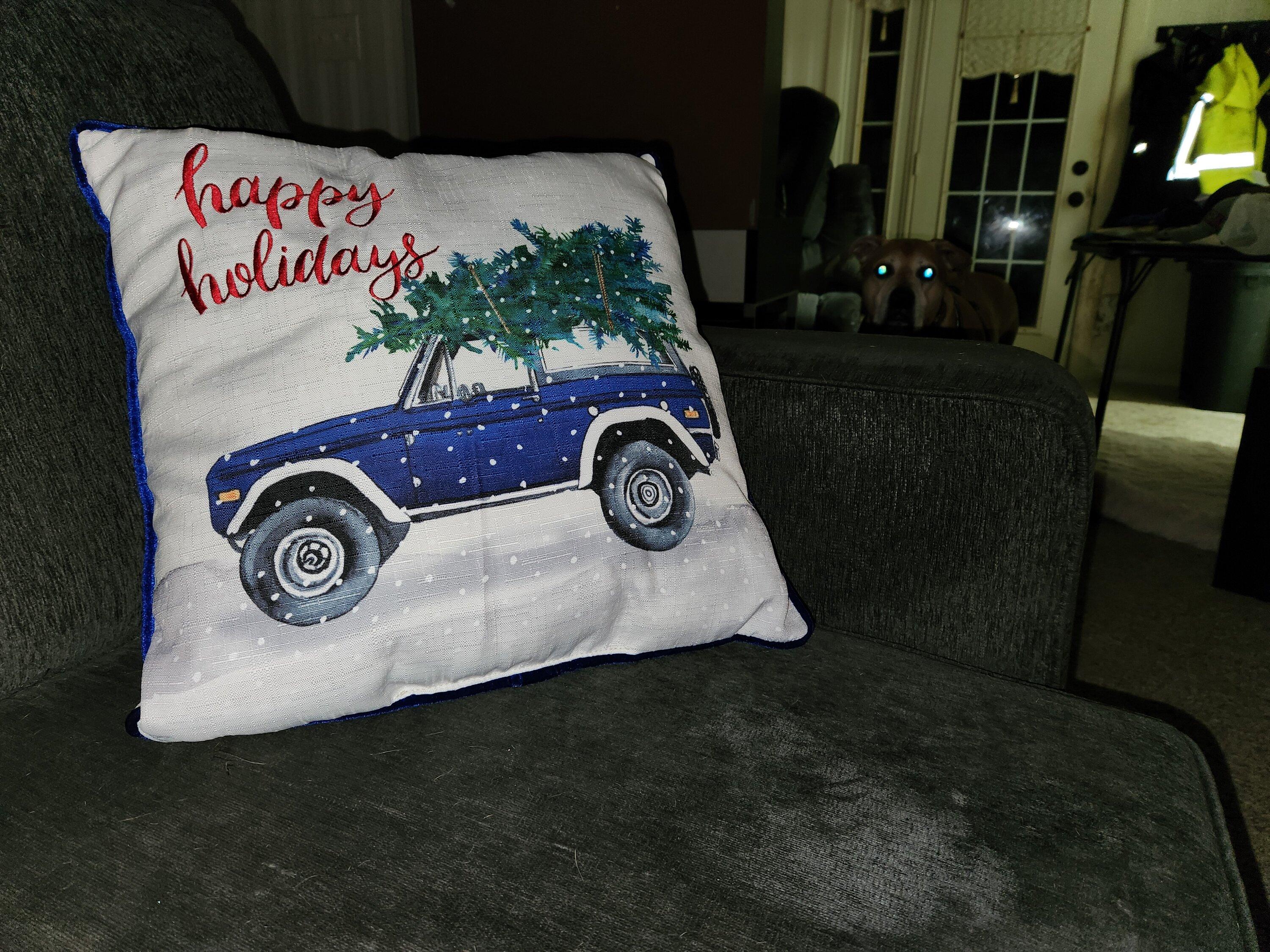 Ford Bronco Bronco Christmas Ornaments / Decorations 20221215_214031