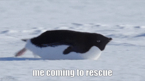 Ford Bronco Snow recovery - rescued 4Runner with Base Bronco penguin-rescue
