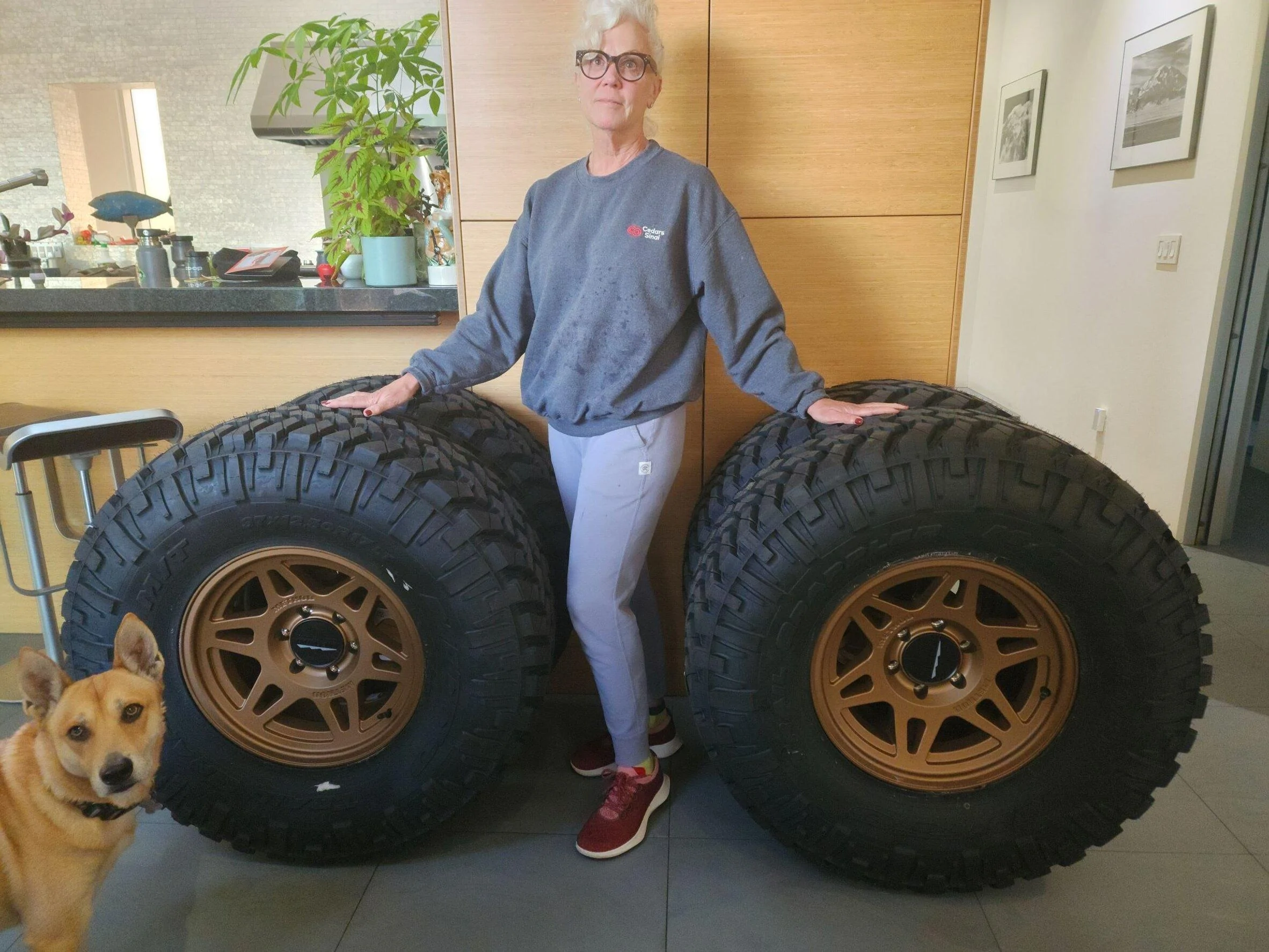 Wheels.jpg