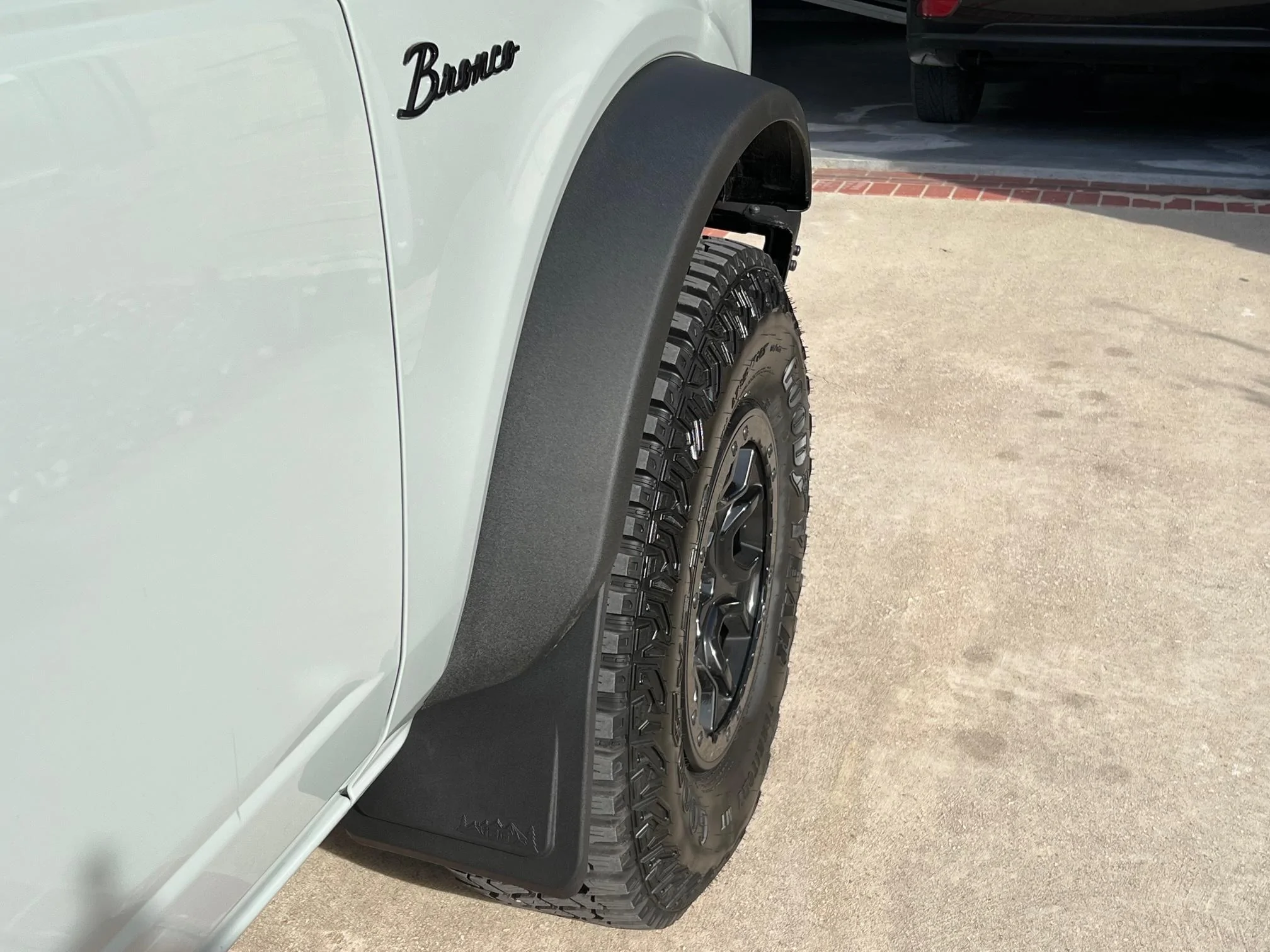 Ford Bronco Mud Flaps that look good -- recommendations? IMG_3996