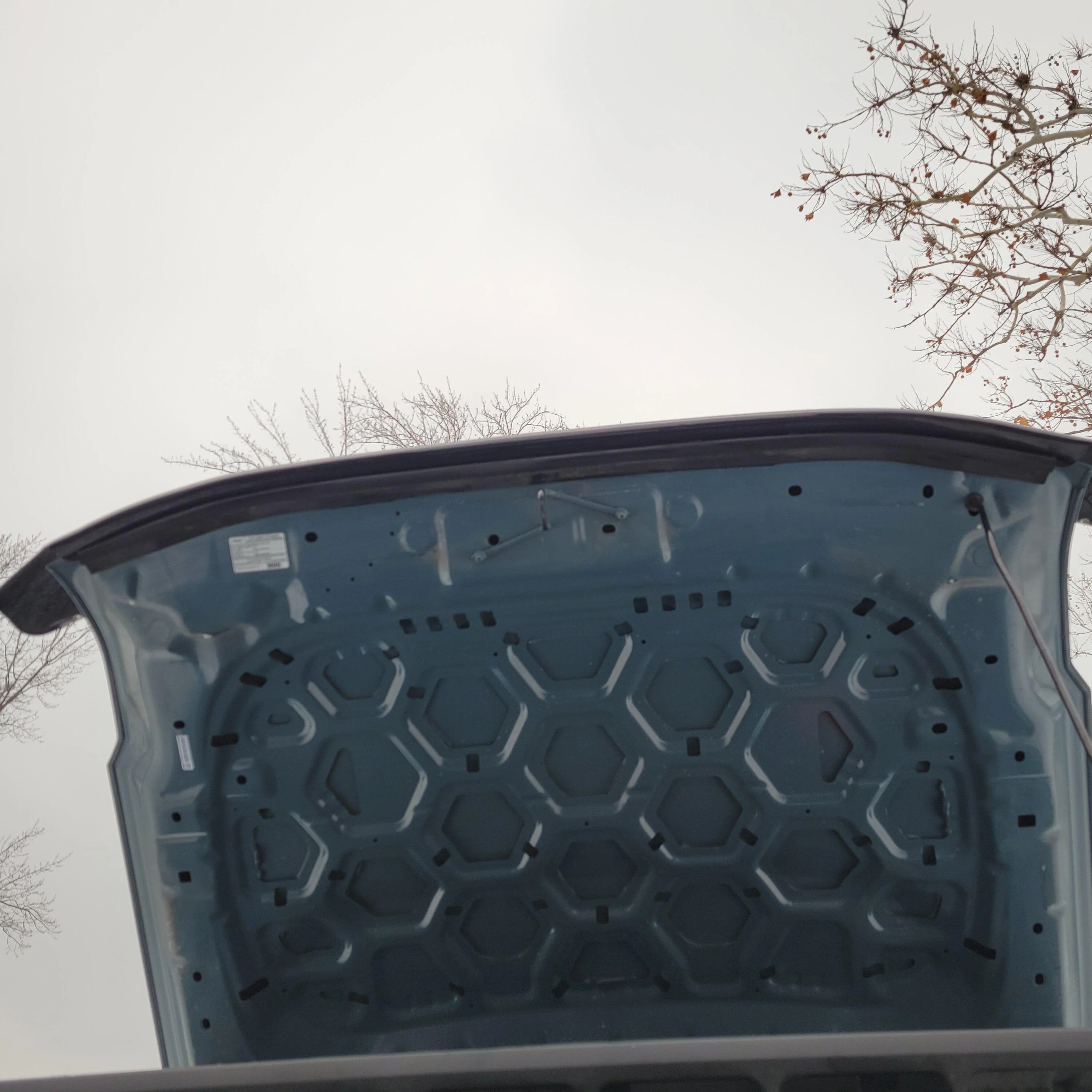 Ford Bronco Photo request: Weathertech bug deflector / hood protector 20221227_153324