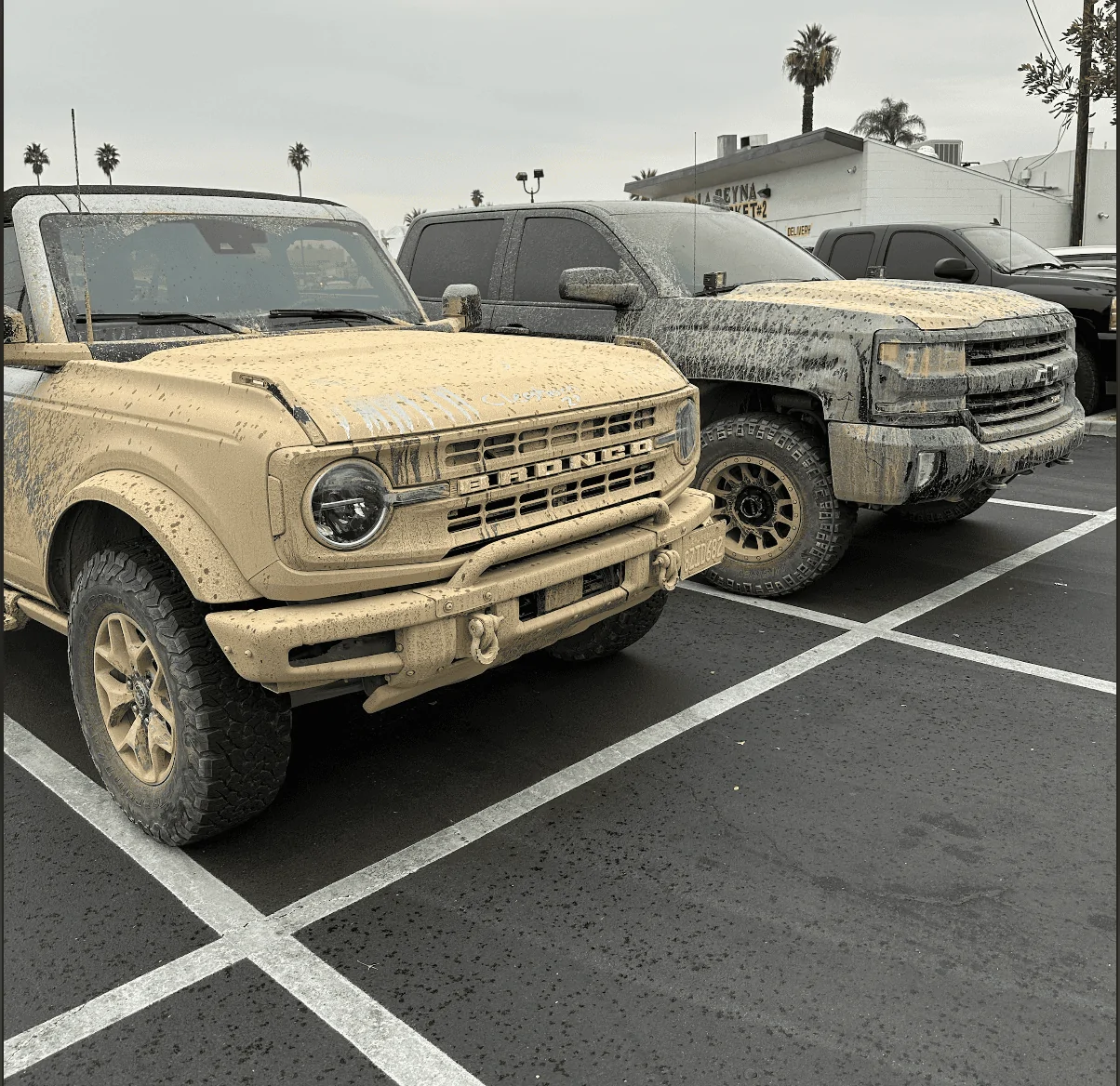 Ford Bronco Base Model Bronco Thread Screen Shot 2023-01-02 at 8.38.11 PM