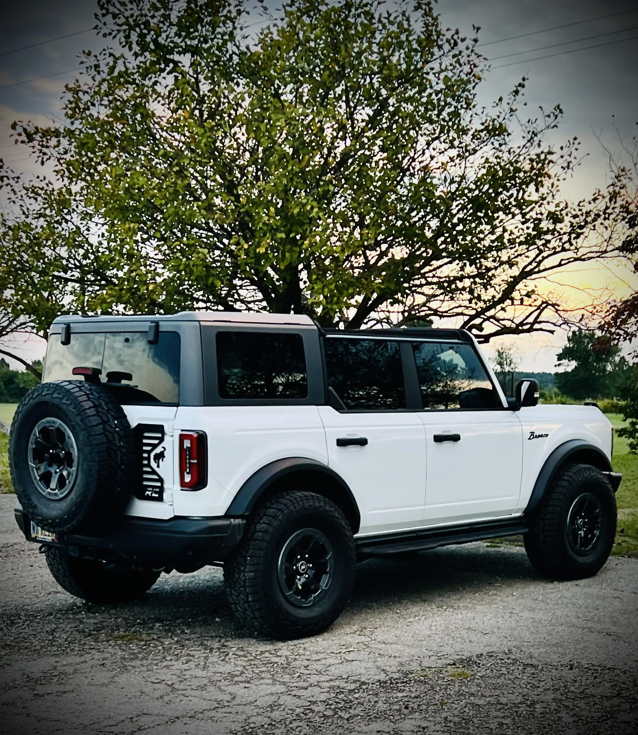 Ford Bronco Ok to only remove front and 2nd row panels? FADF6FFD-1482-477B-955B-3834C28A5EC0