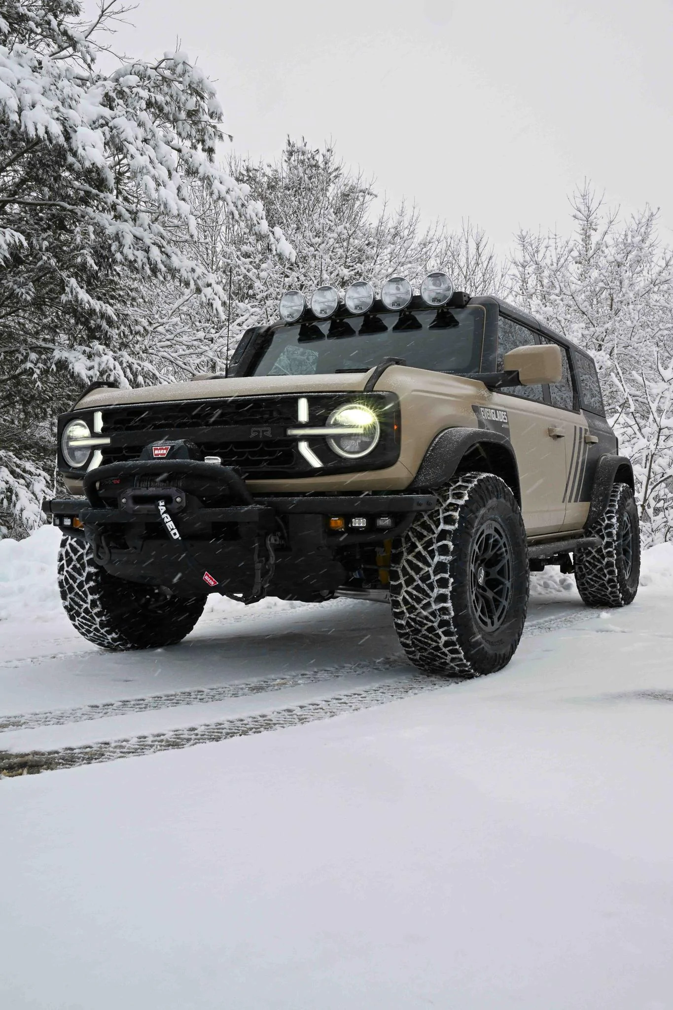 Ford Bronco Bronco Everglades RTR Release Edition #025 - Middleton Motorsports DSC_4580