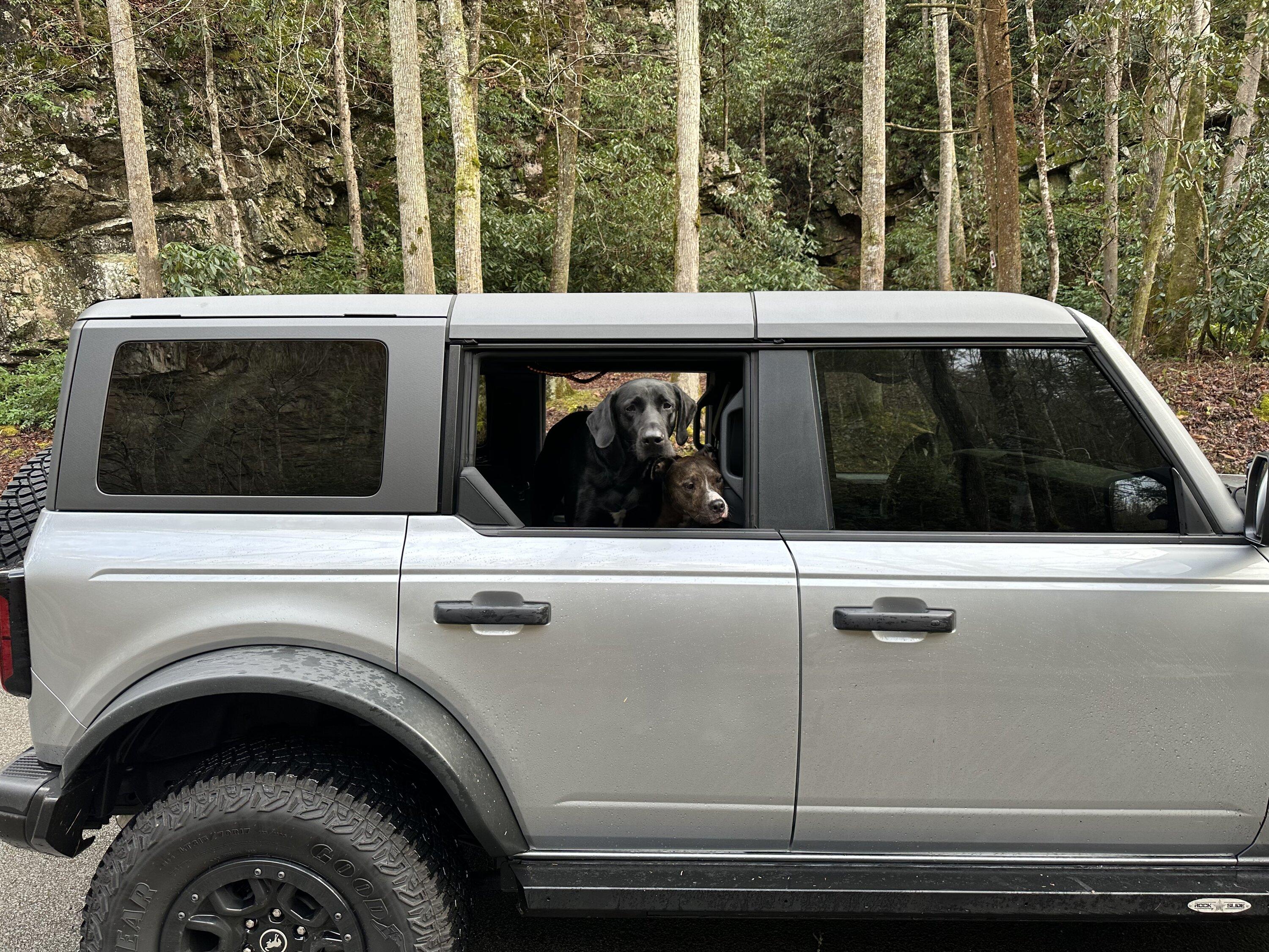 Ford Bronco Sassy Build Journal 3C2341E2-11DB-45C0-B3F9-35D7C0317D72