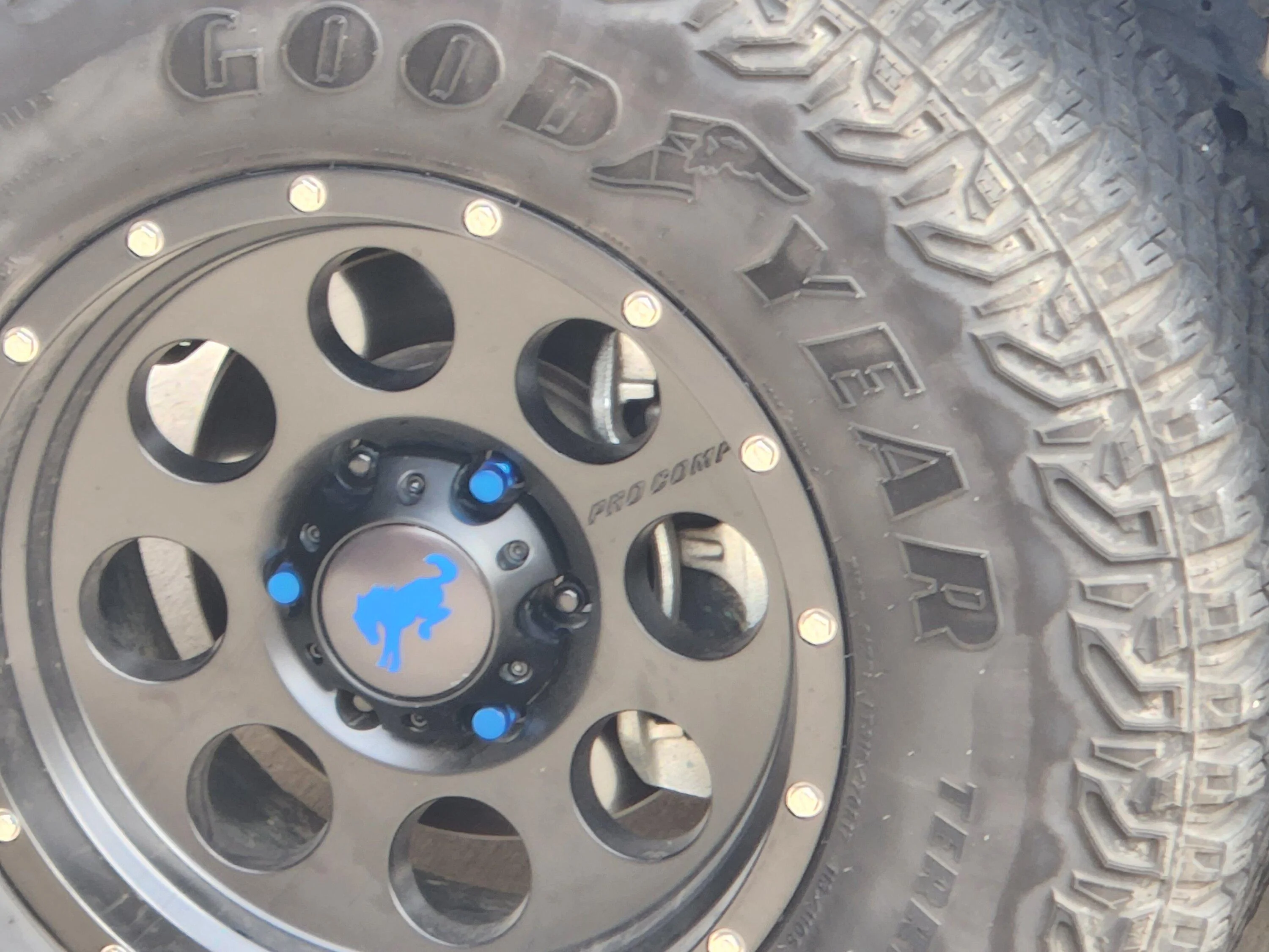 Ford Bronco FstFrd00's Bluey Bronco 20230107_115656