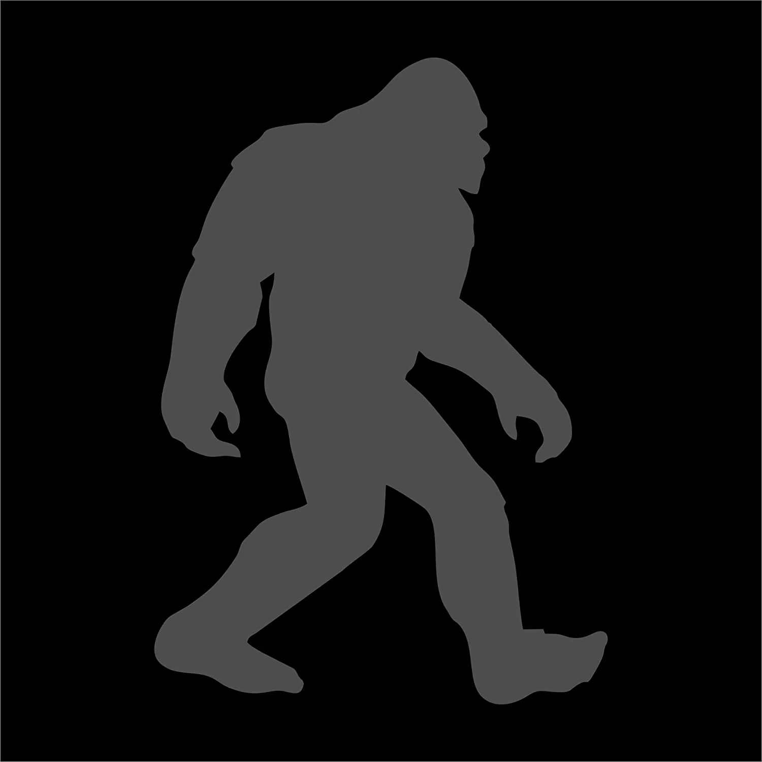 Ford Bronco Show us your custom Sasquatch stickers, decals, badges..... 👣 61tHYWHmiwL._AC_SL1500_