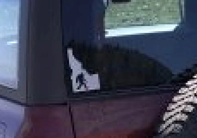 Ford Bronco Show us your custom Sasquatch stickers, decals, badges..... 👣 sasquatch