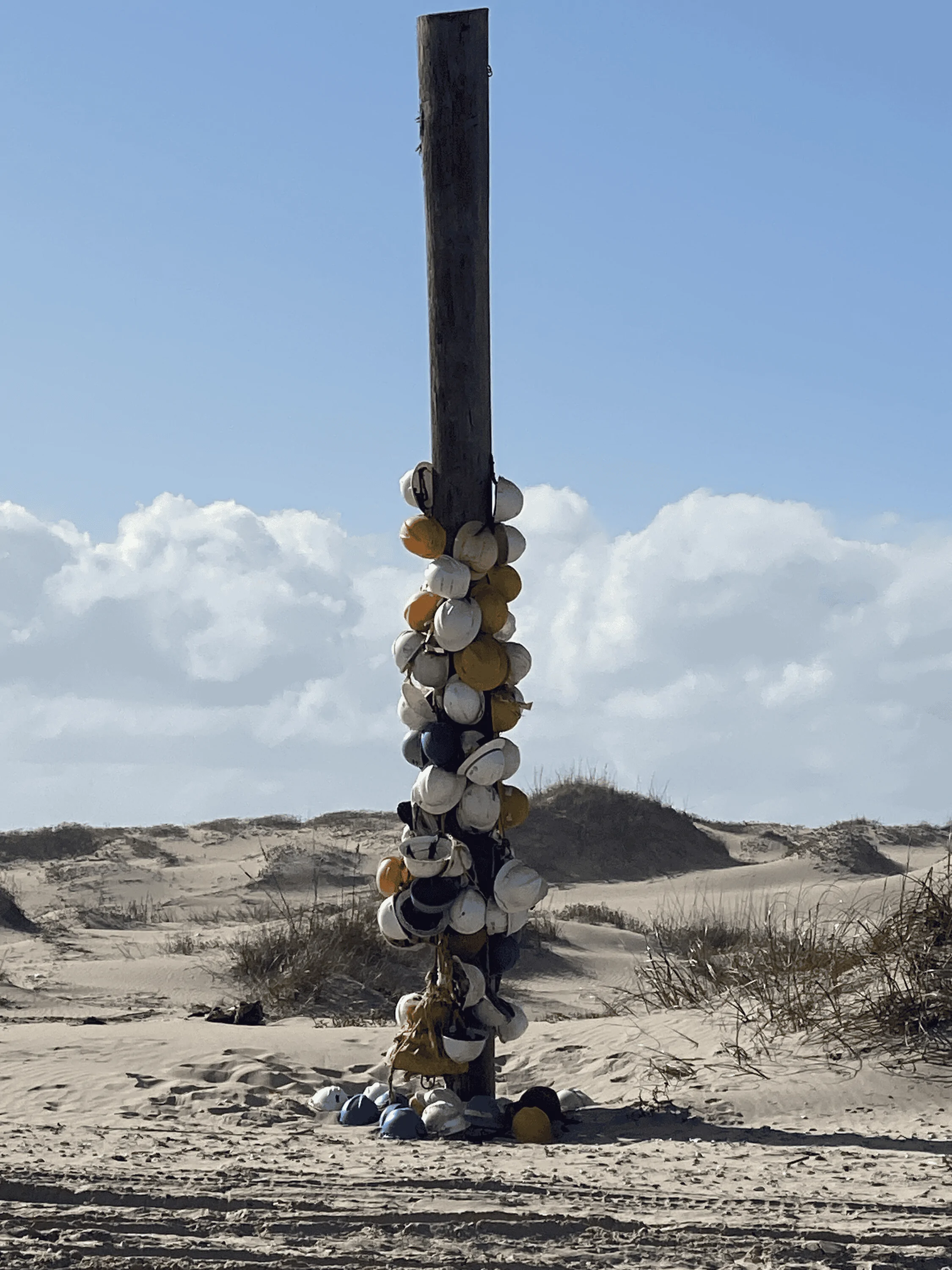 1673563801636.webp