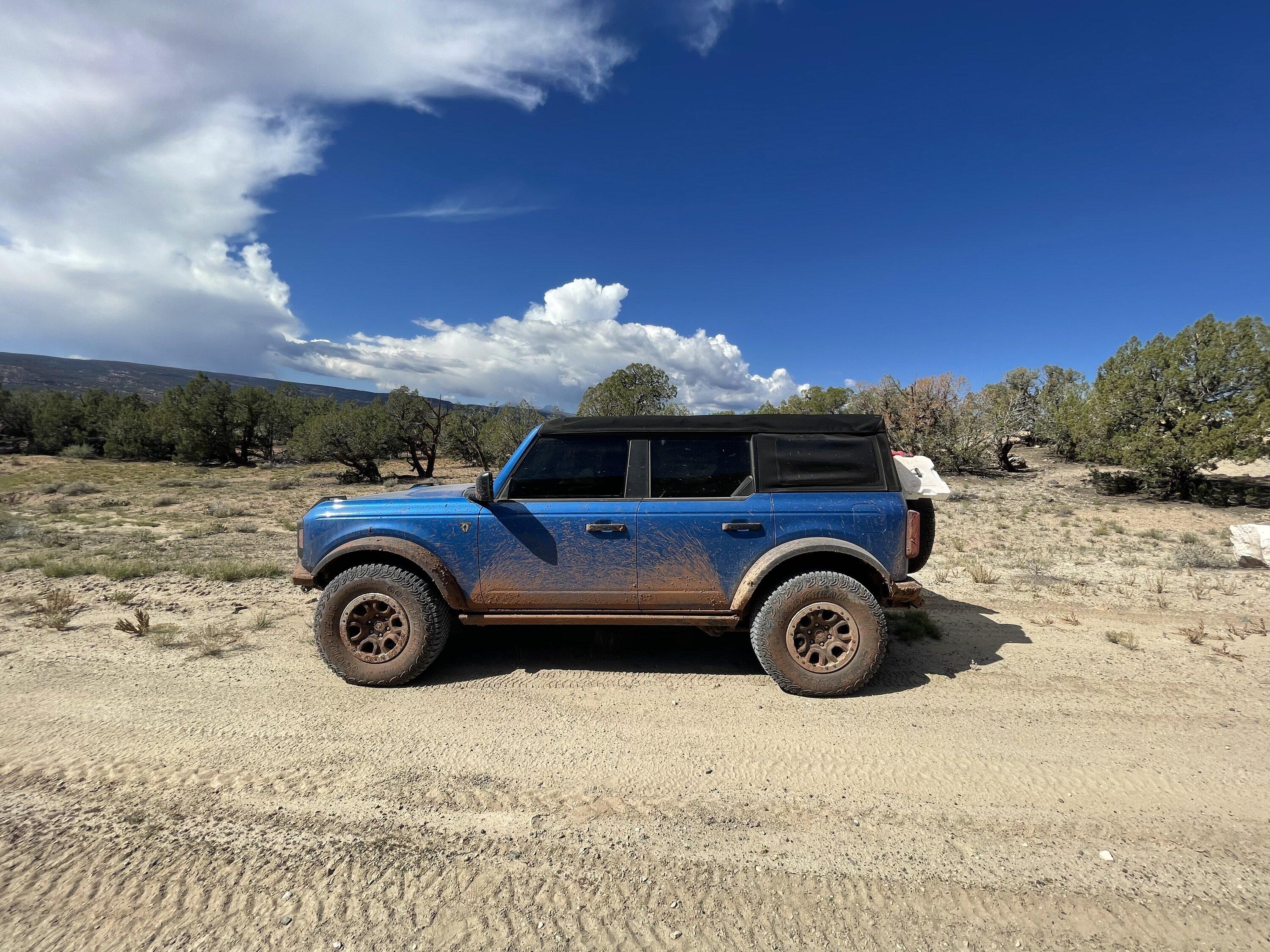Ford Bronco Tint reference gallery -- post your Bronco pics & specs 📸 😎 DBFBA647-7D6D-4AED-B208-D075F78B86BA