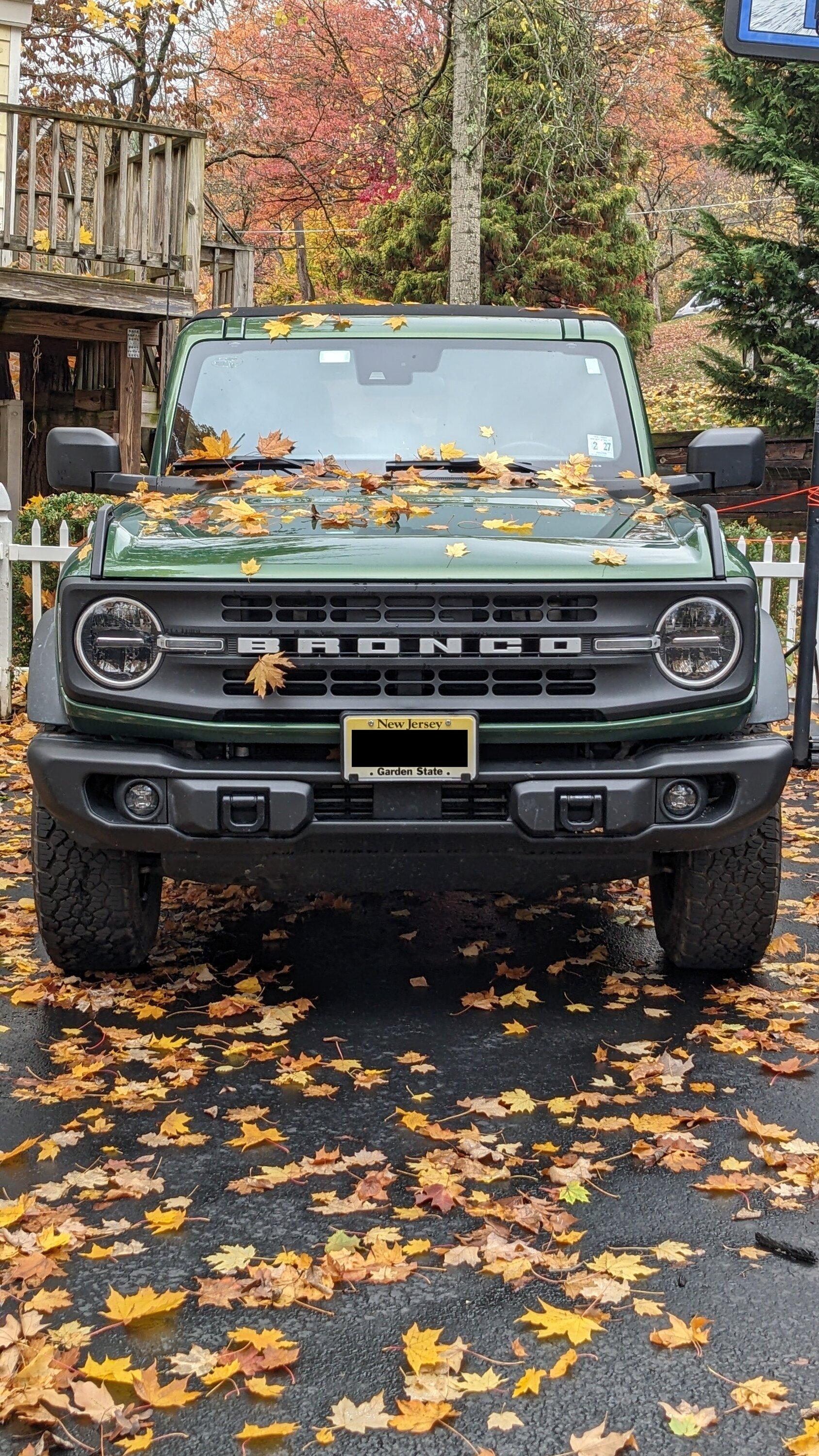 Ford Bronco Today is my Broncoversary bronco_fall