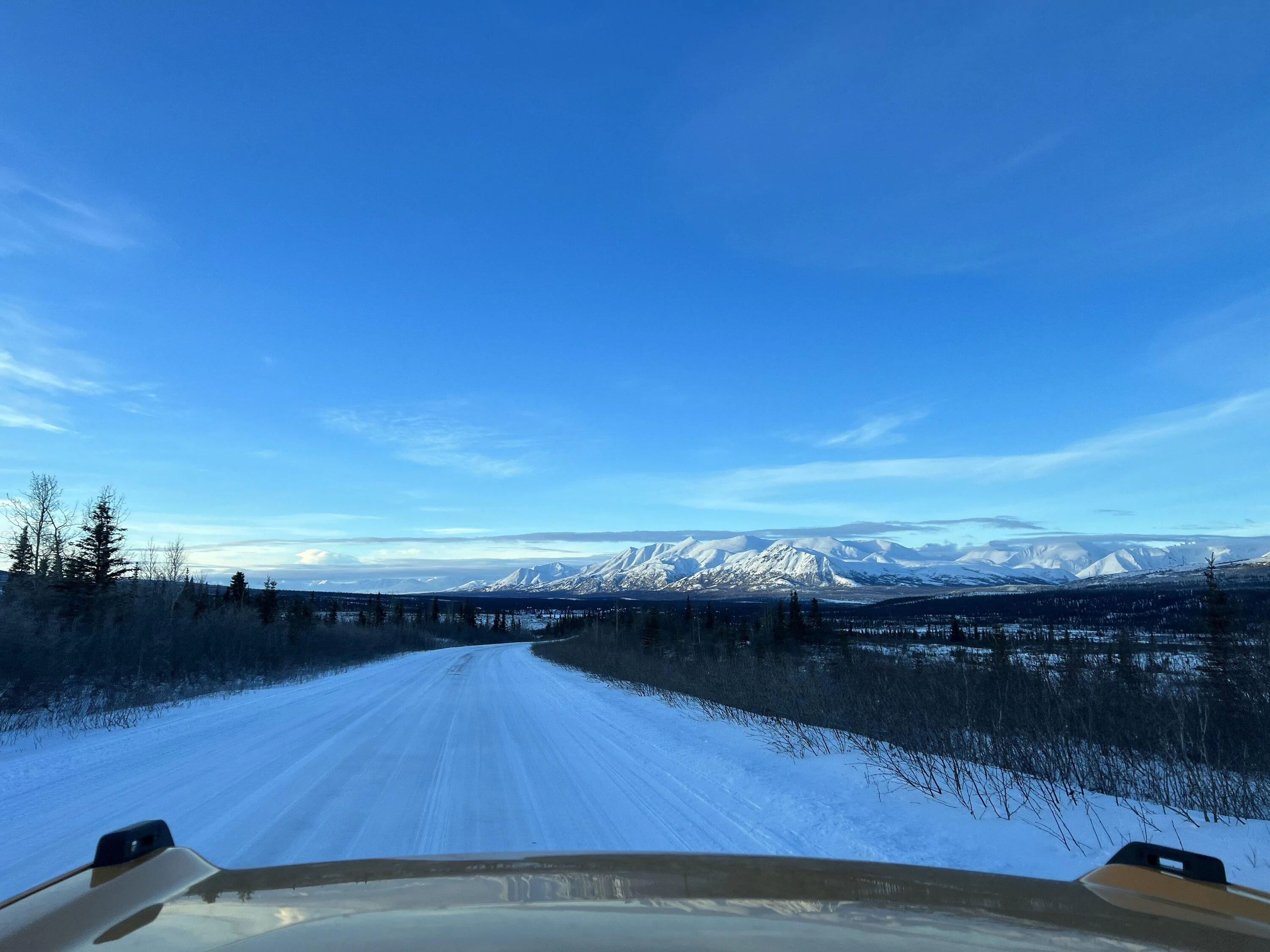 Ford Bronco Fairbanks to Cantwell Mini Alaska Road Trip 56757285-88C0-41CA-AEE9-27FE3BD32C78