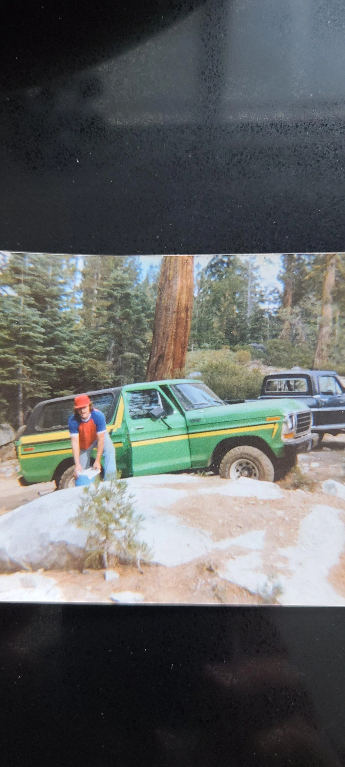 Green 1978.webp
