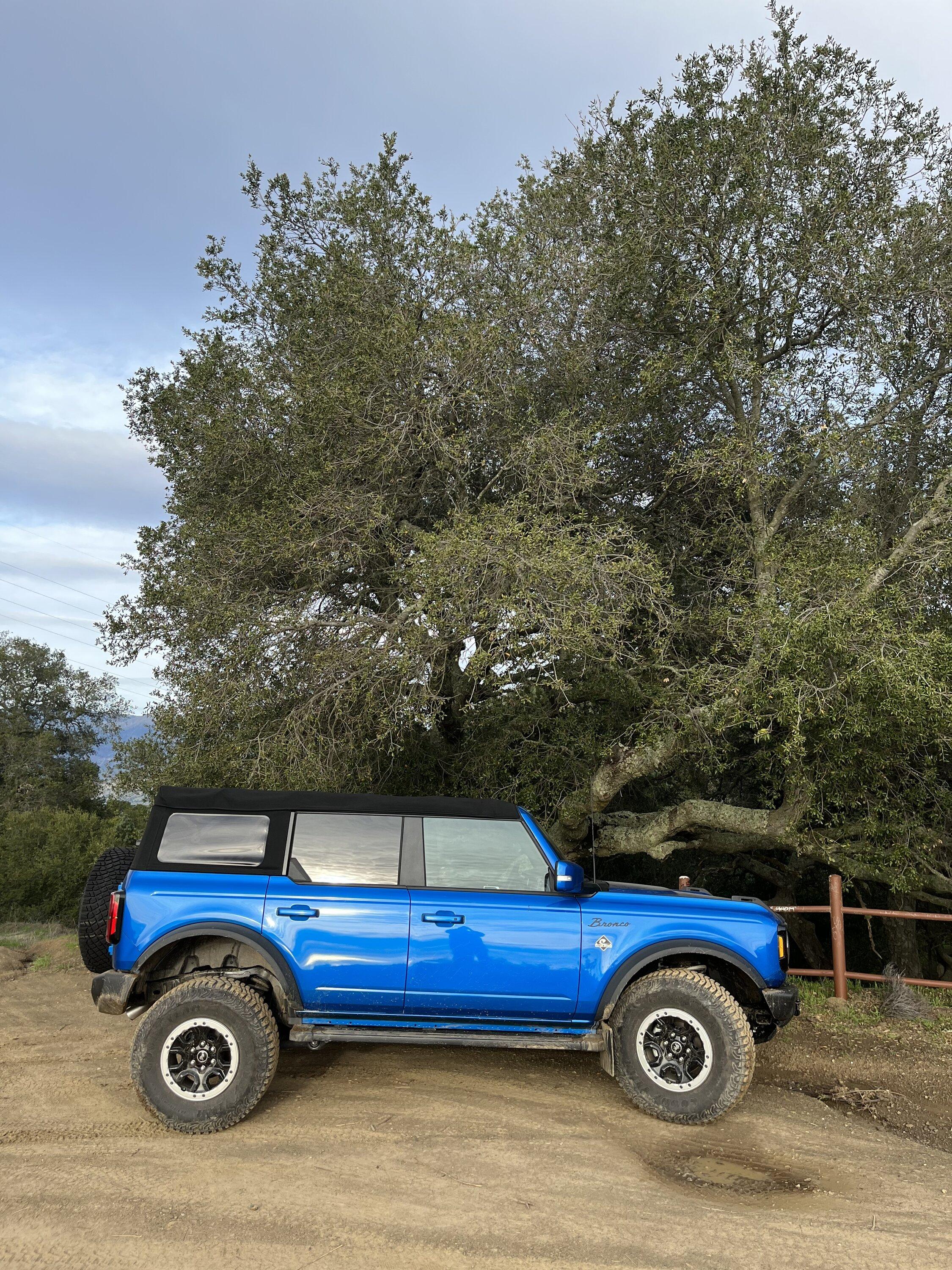 Ford Bronco Can't decide between Eruption Green and Velocity Blue!!! 40B3A7D4-9658-4CED-A79A-A4B0530C2148