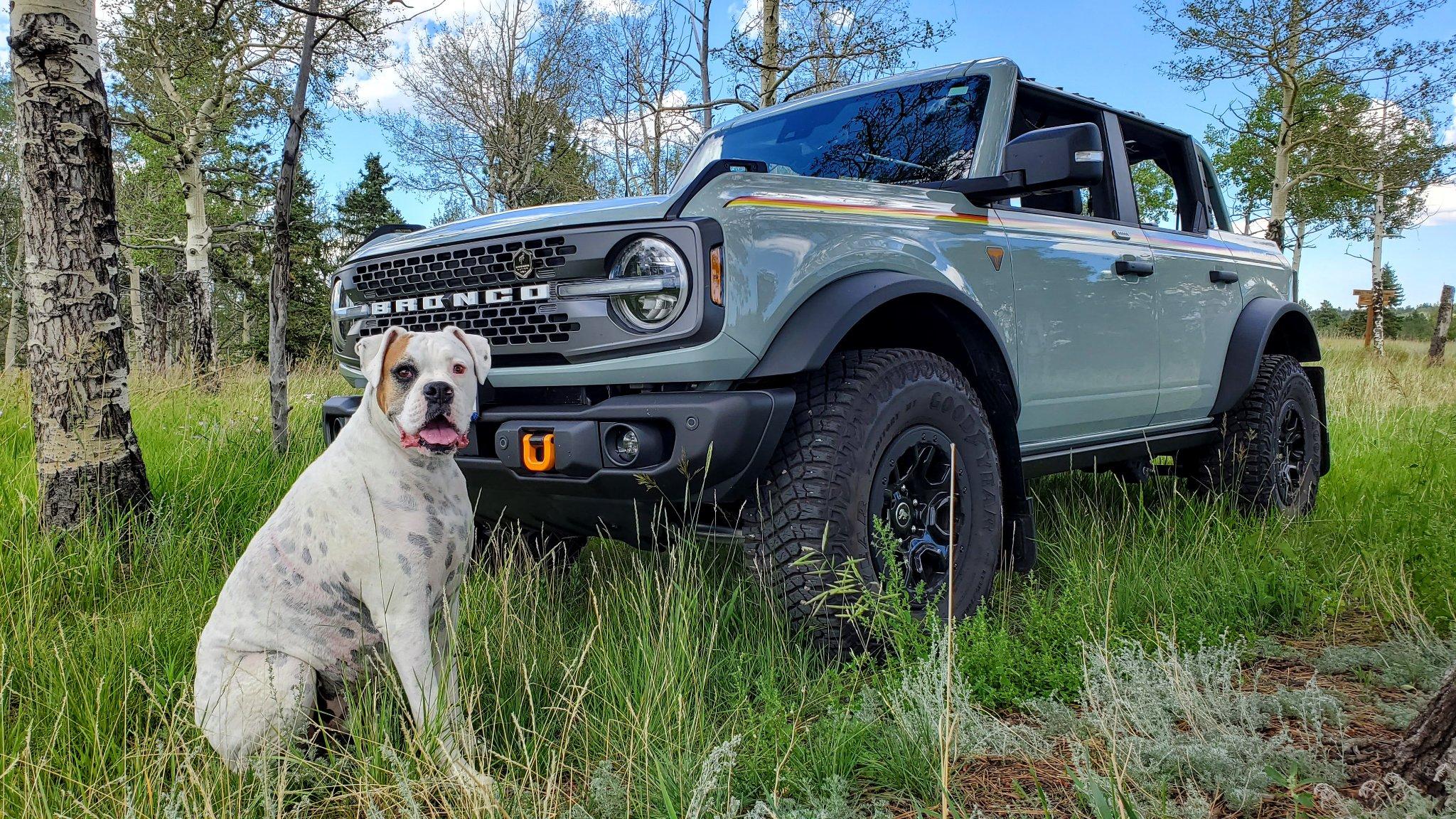 Ford Bronco Need Positivity - Bronco Worth The Wait? broncopups