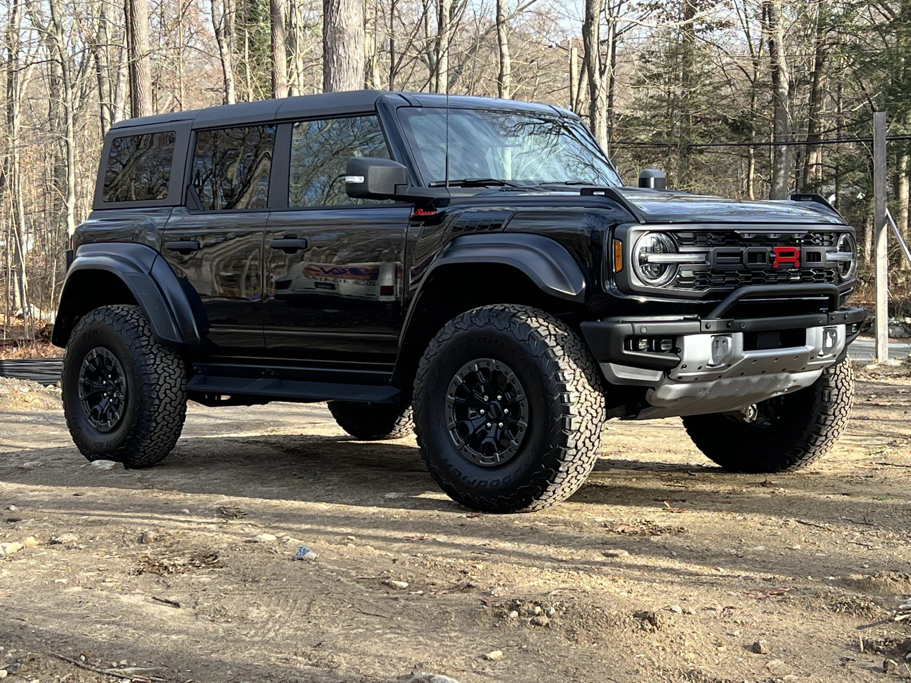 Ford Bronco Decal overlay for Bronco Raptor Grill? 7CFDF7EC-C14B-41EE-9F96-25D2EDEE9D09