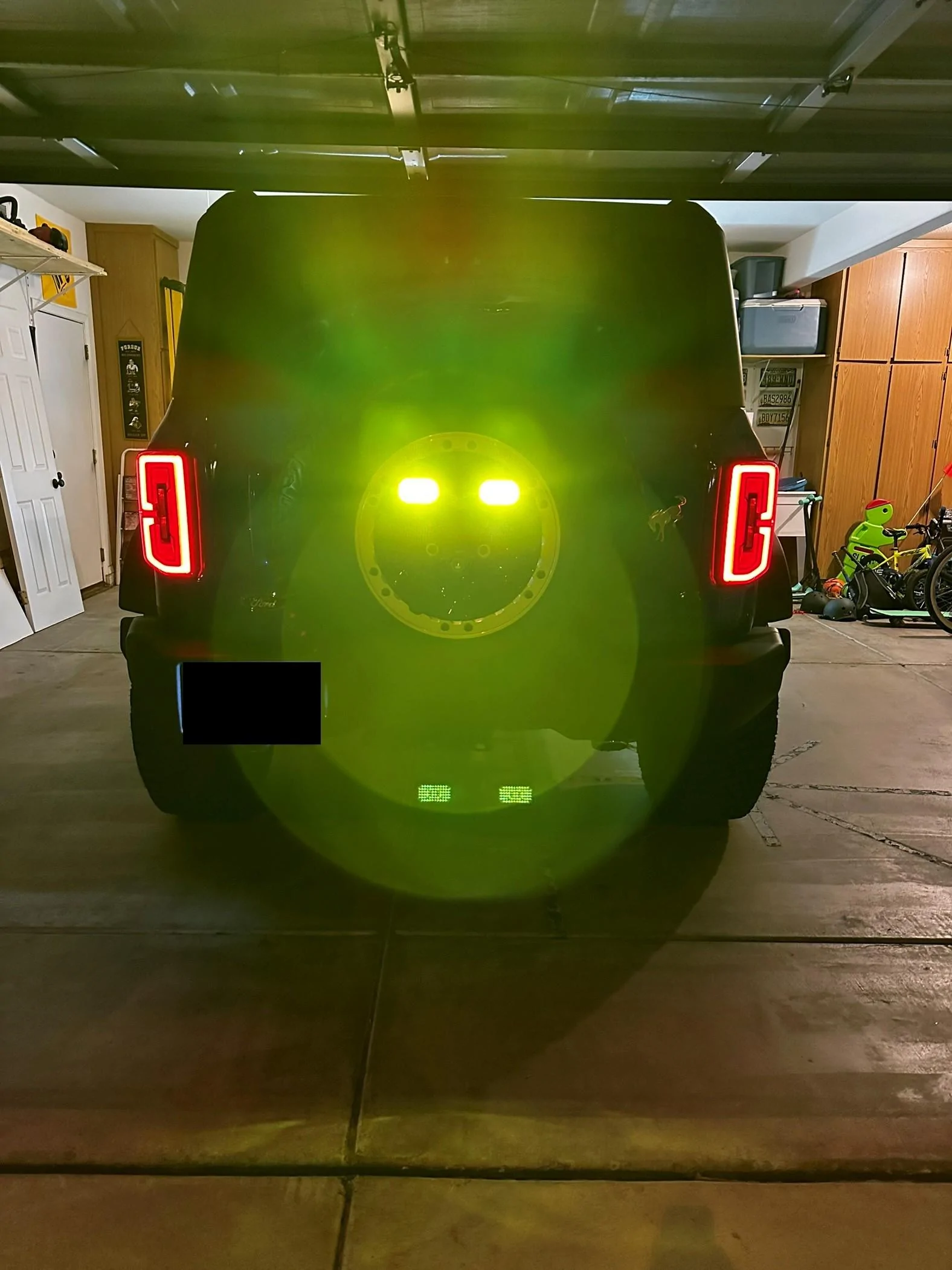 Night Chase Yellow.webp