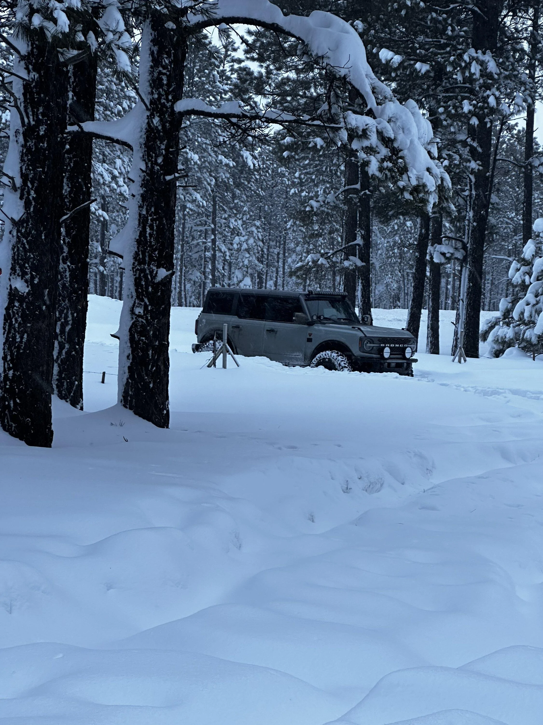 Ford Bronco Mud tires recommendations please 45BFCFE8-3B8B-4A84-8401-5CDDB02BFD7E