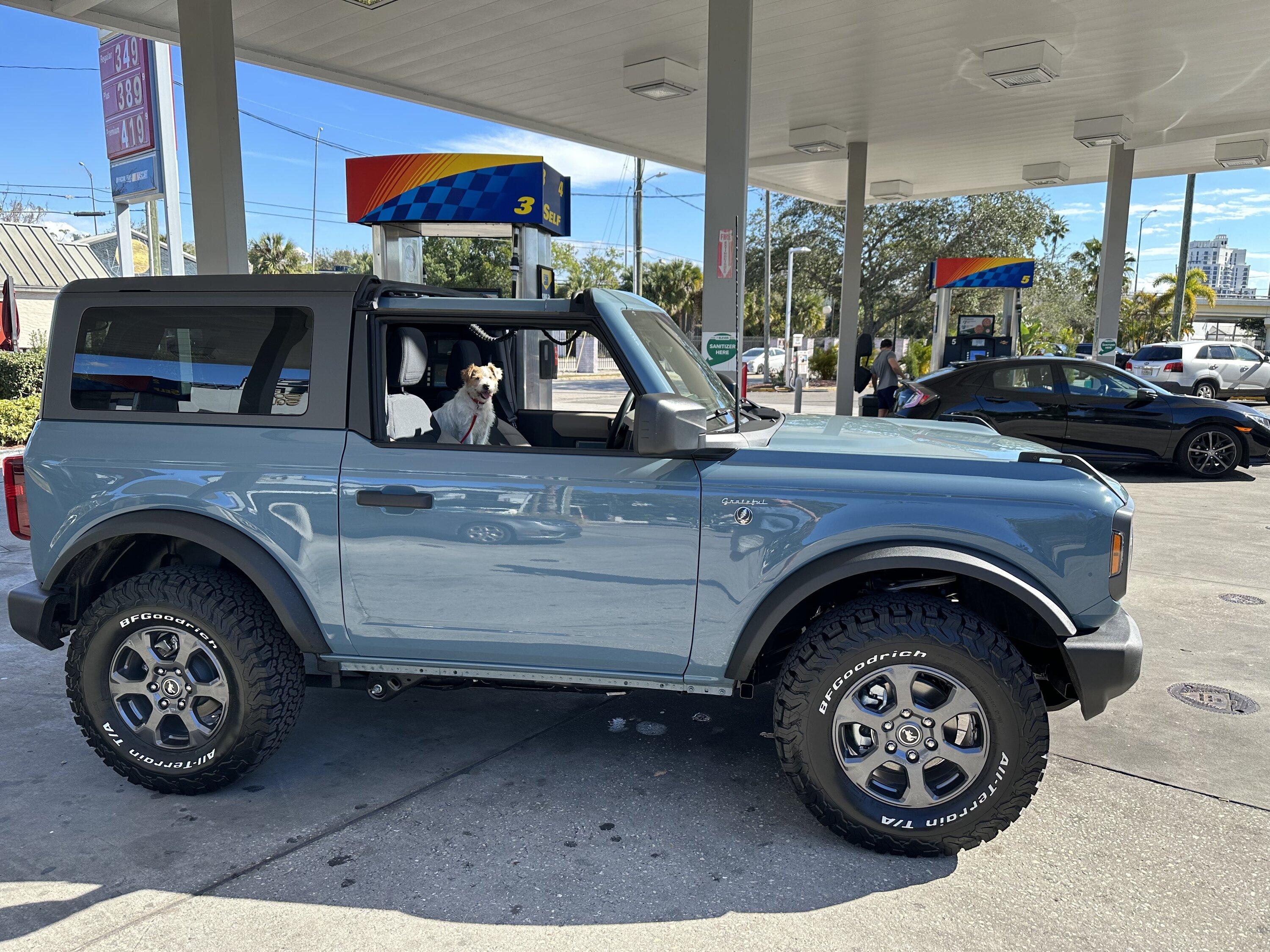 Ford Bronco What edition is this? F2D01F55-6CEA-4026-AB7D-8CD045E2D4DC