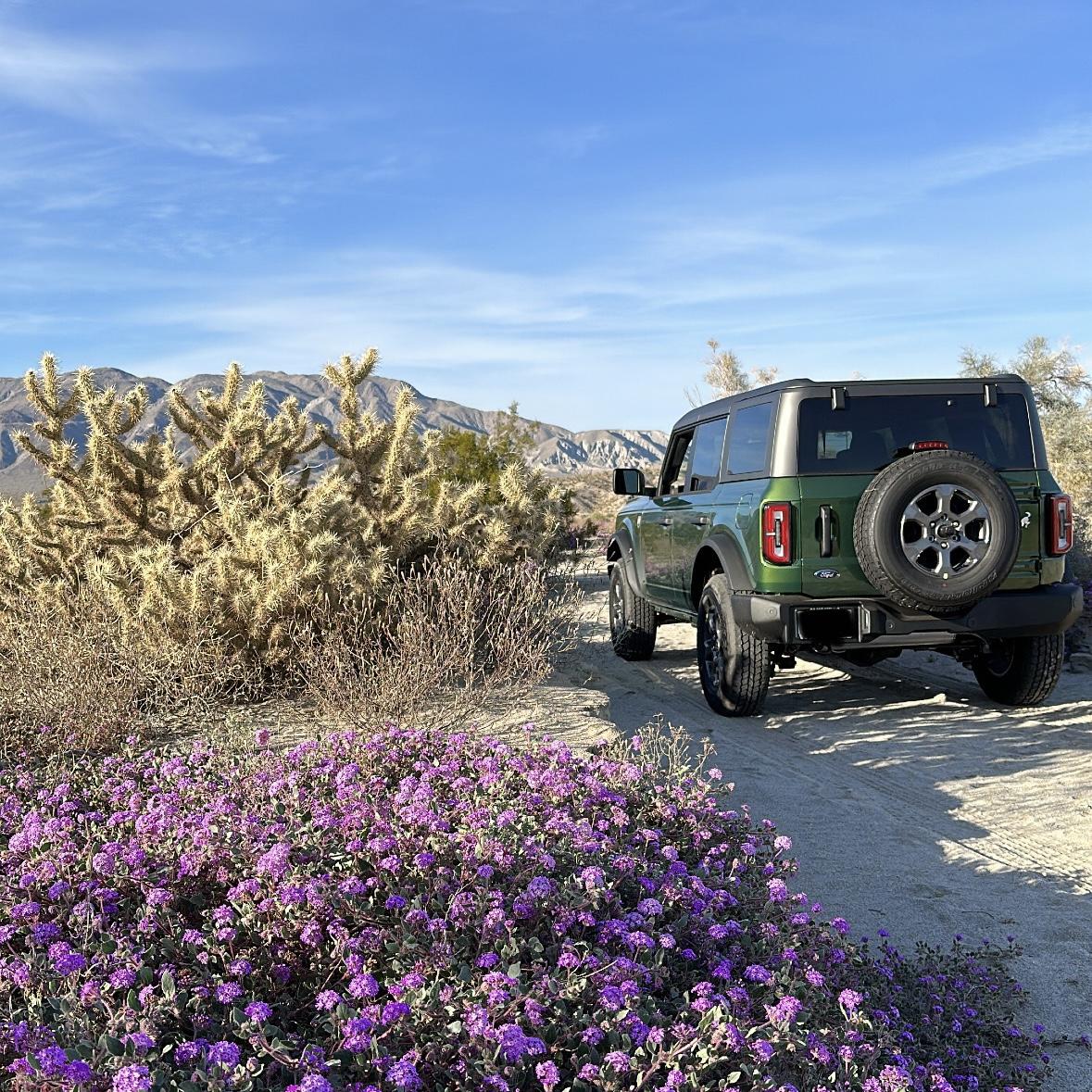 Ford Bronco ERUPTION GREEN Bronco Club 9CB7F7AA-351A-42E4-A2C1-03CAB10C7C2F
