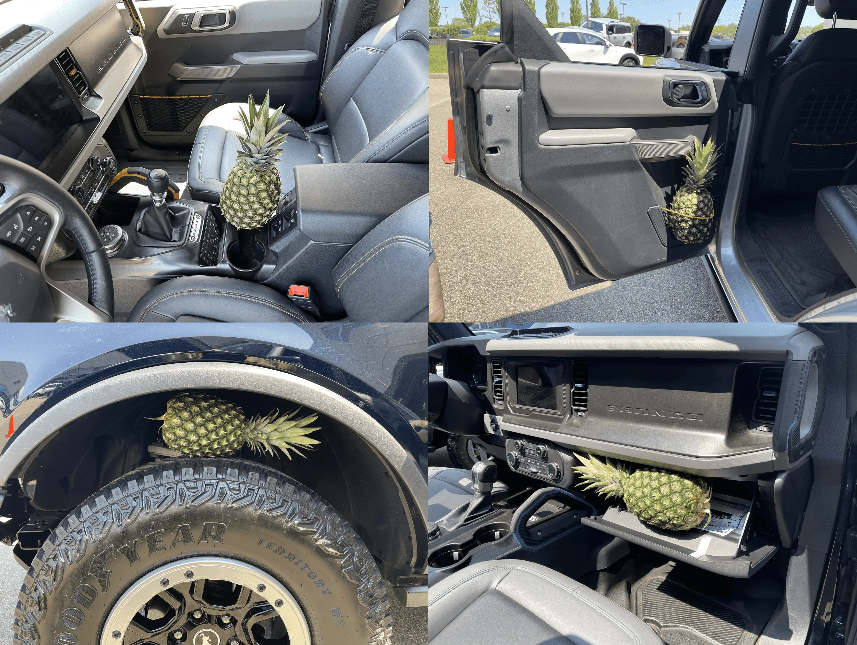 Ford Bronco Whatever happened to the pineapple pizza? bronco-pineappl