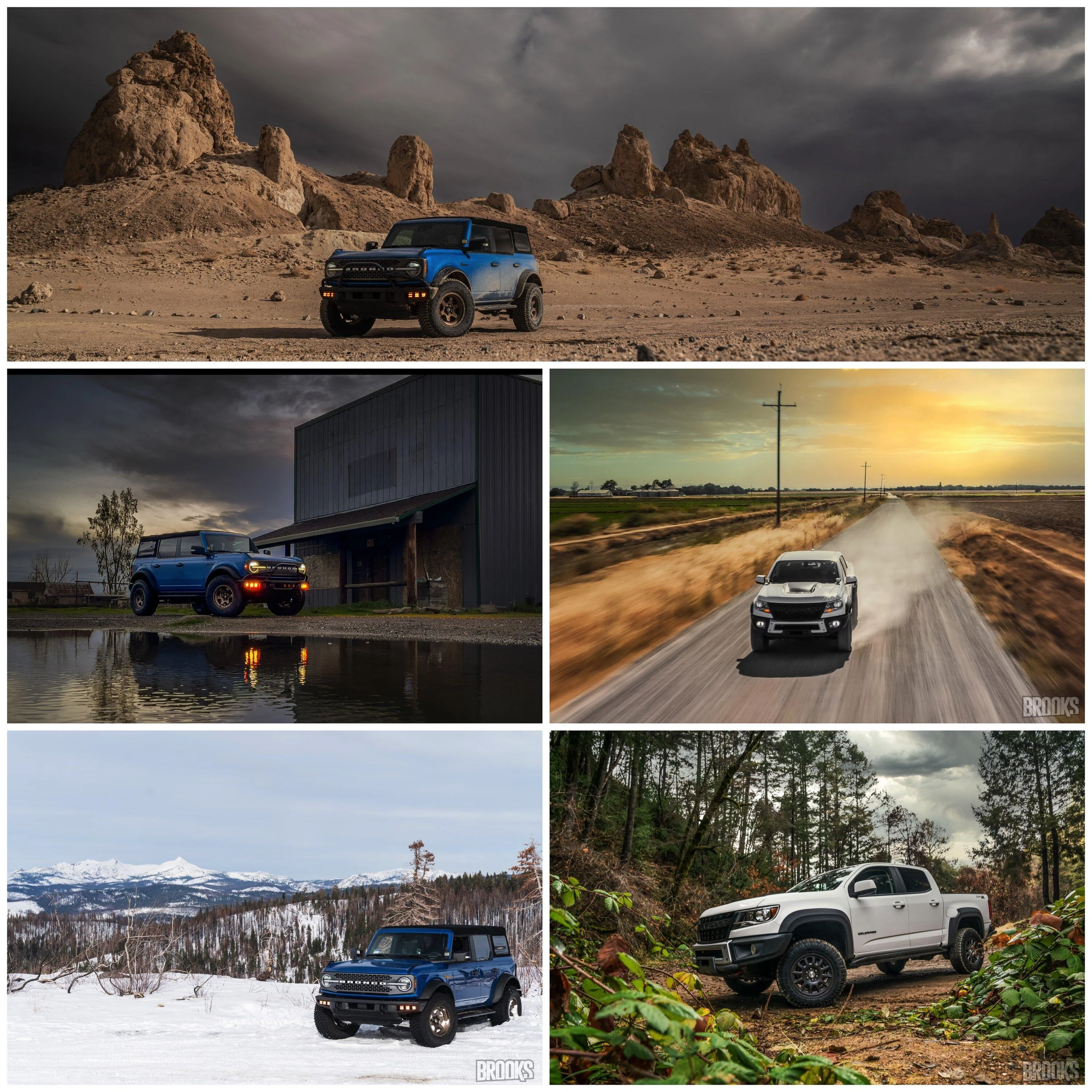 Ford Bronco Bronco vs Colorado ZR2 bronco and bison