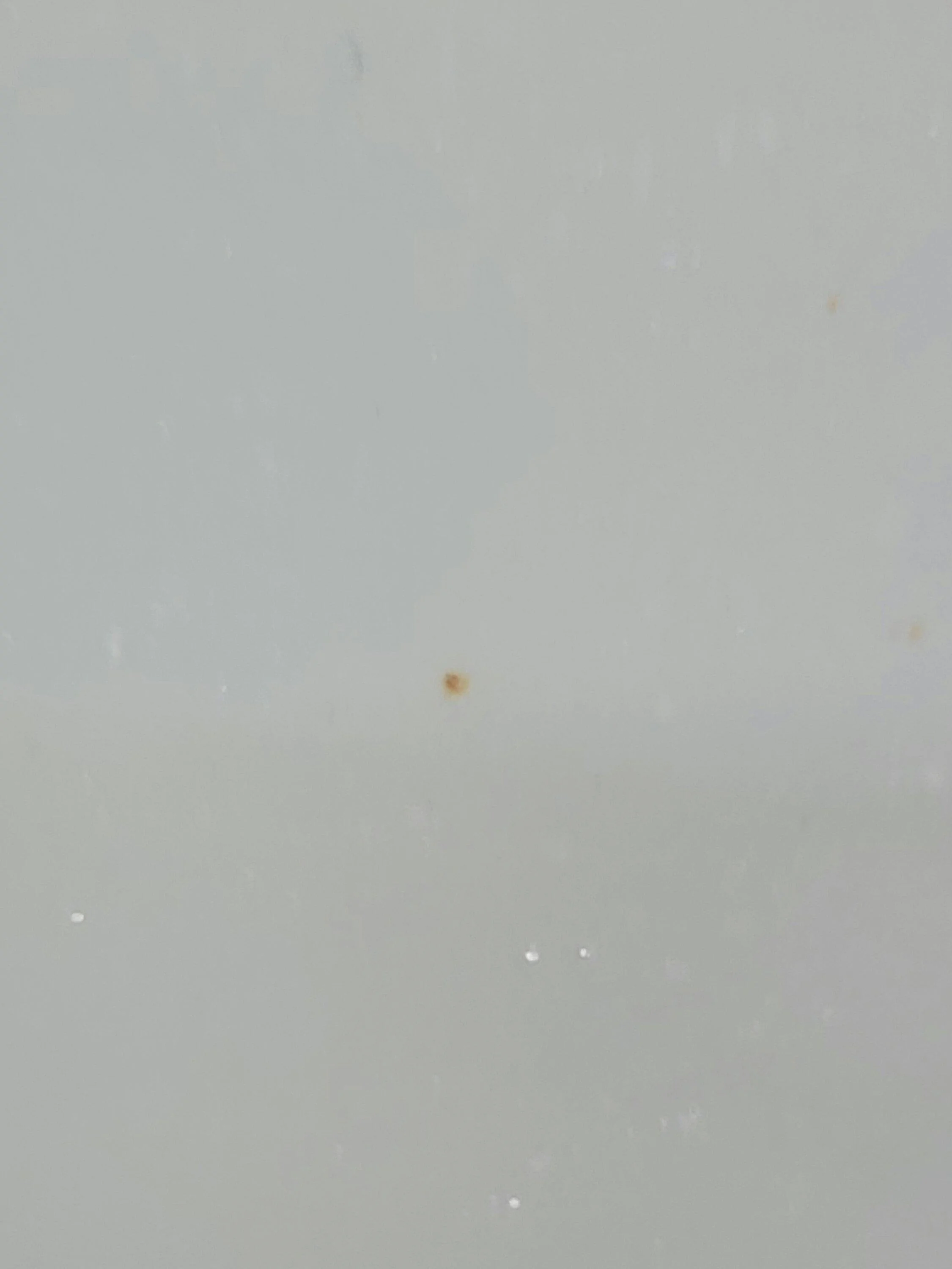 Ford Bronco Rust spots 20230205_193044