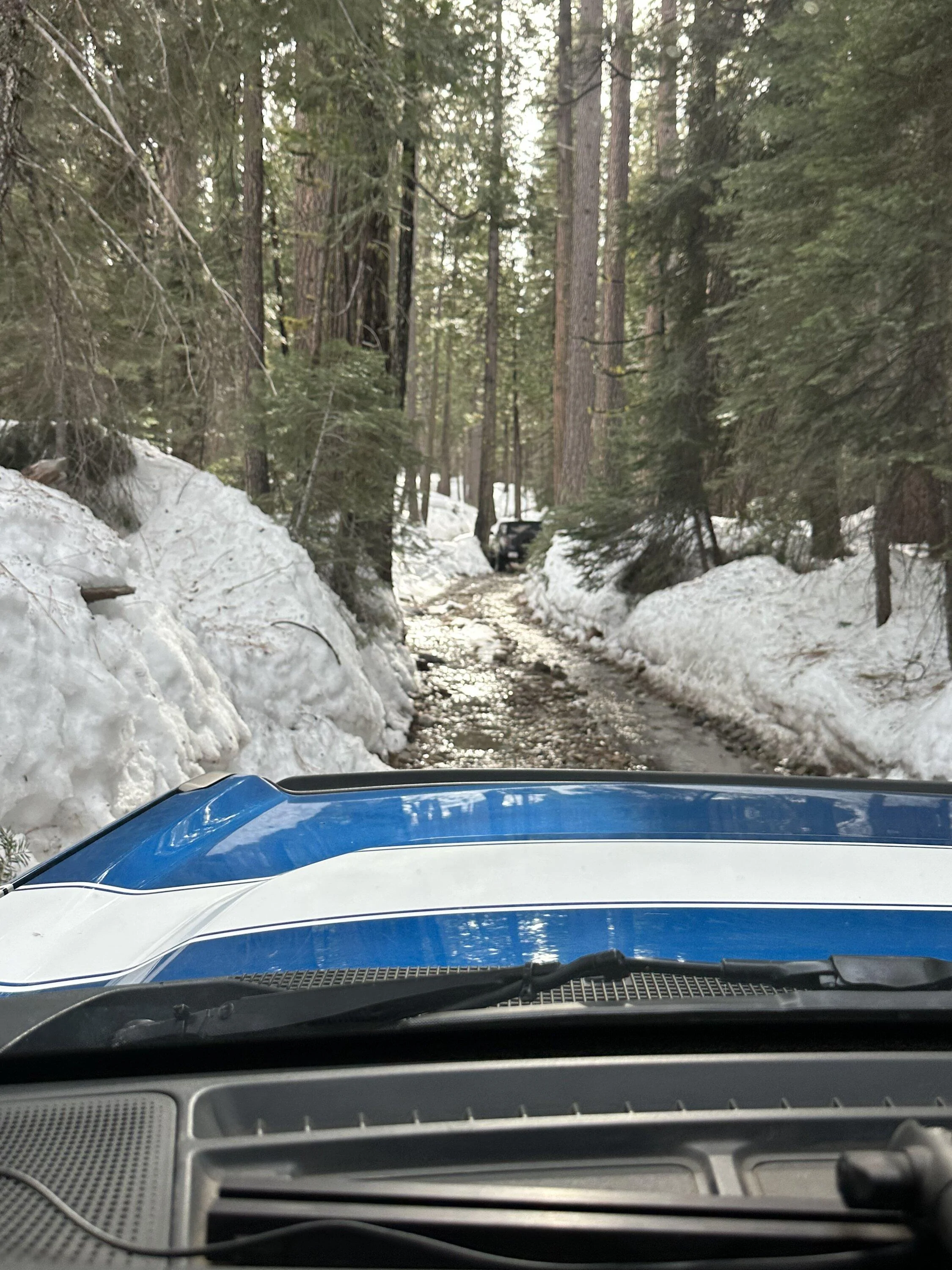 Ford Bronco Couple of Broncos go on a snow adventure EBC17273-2A7E-4D56-AB5E-CB2DF2B48D03