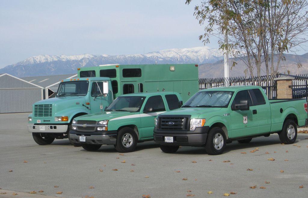 Ford Bronco Would You Seriously Consider Green? 71668e6cc62951014c267f377999f07c