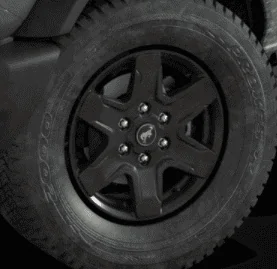 Ford Bronco Black Diamond Bronco Thread 1602431333863