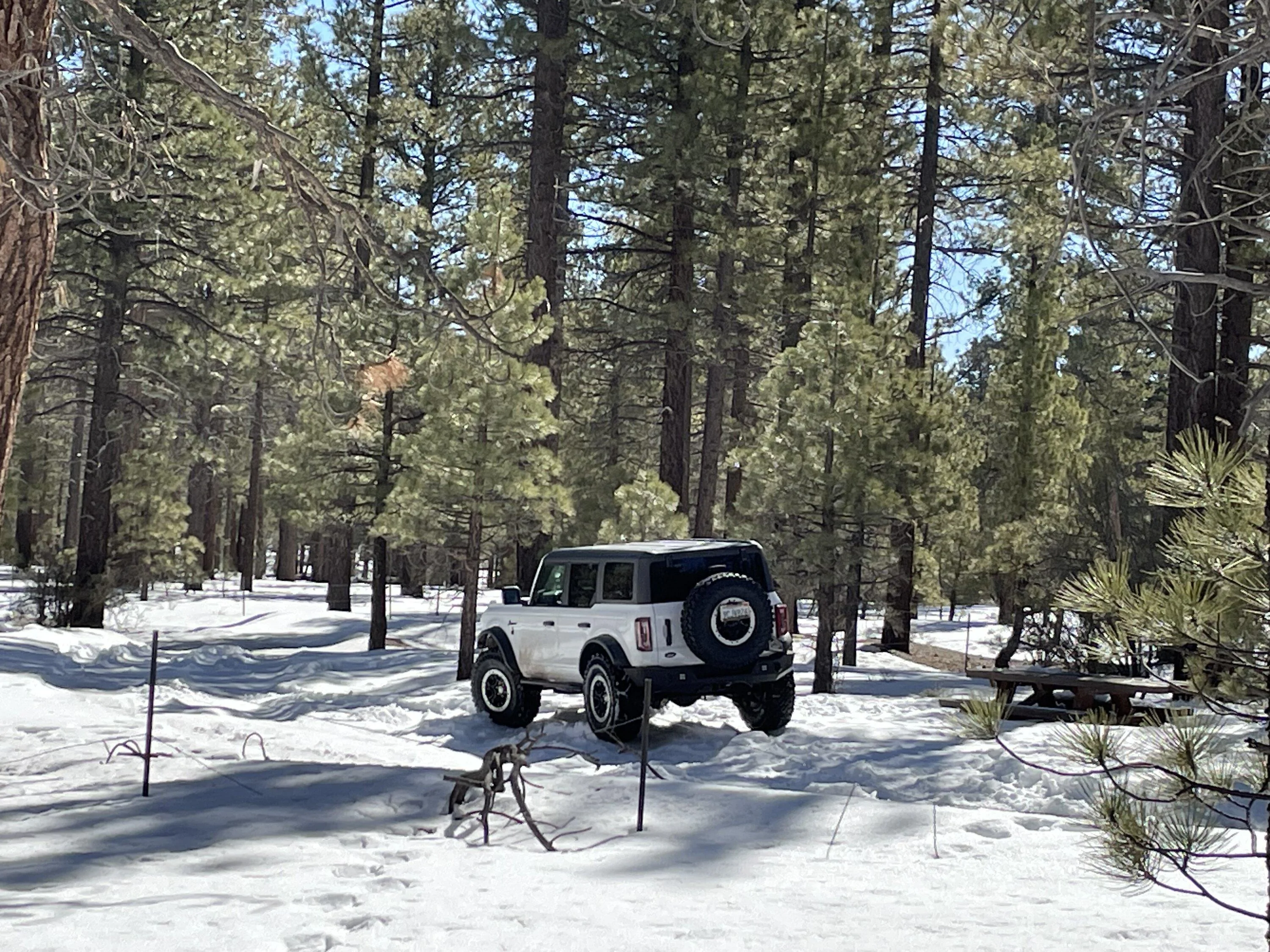 Ford Bronco Day trip to Big Bear IMG_0470