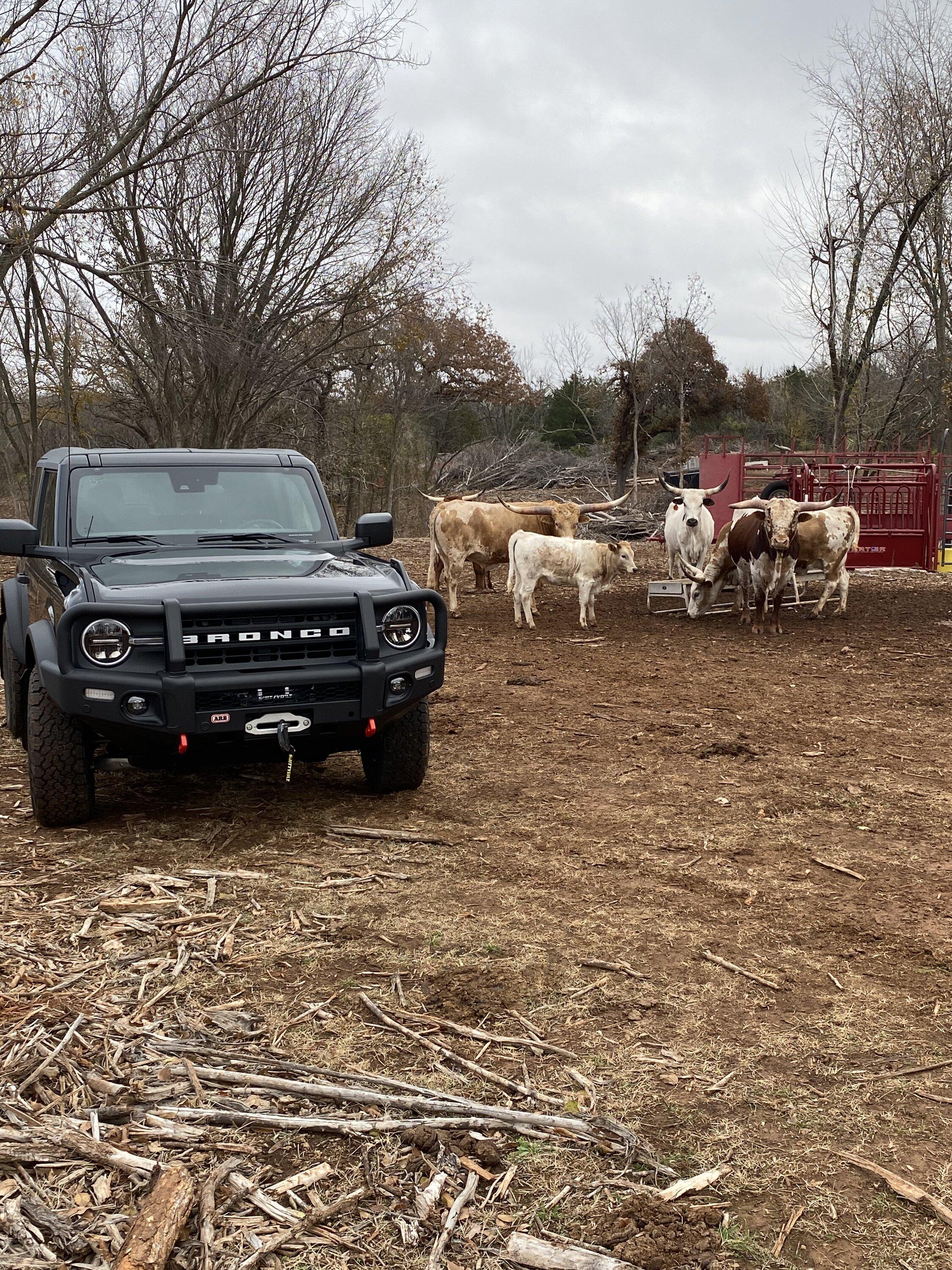 Ford Bronco Using the Bronco the way they (somewhat) intended in ‘66 -- farm, ranch, agriculture 738A7309-5621-436A-ADDB-AB1B8386CB0E