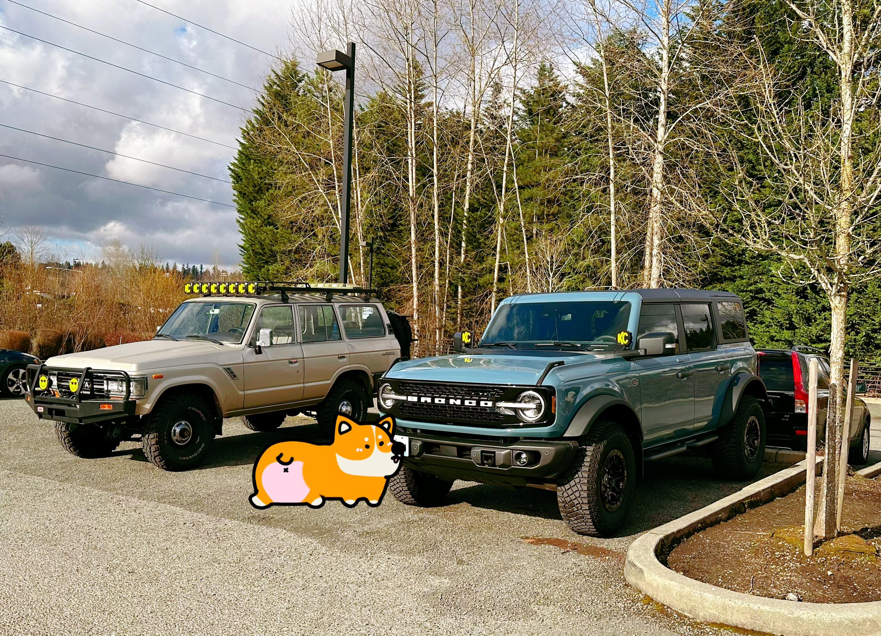 Ford Bronco First mods, the essentials CA2ADE42-4ECC-4B3F-899B-D0F27B5AC2CA