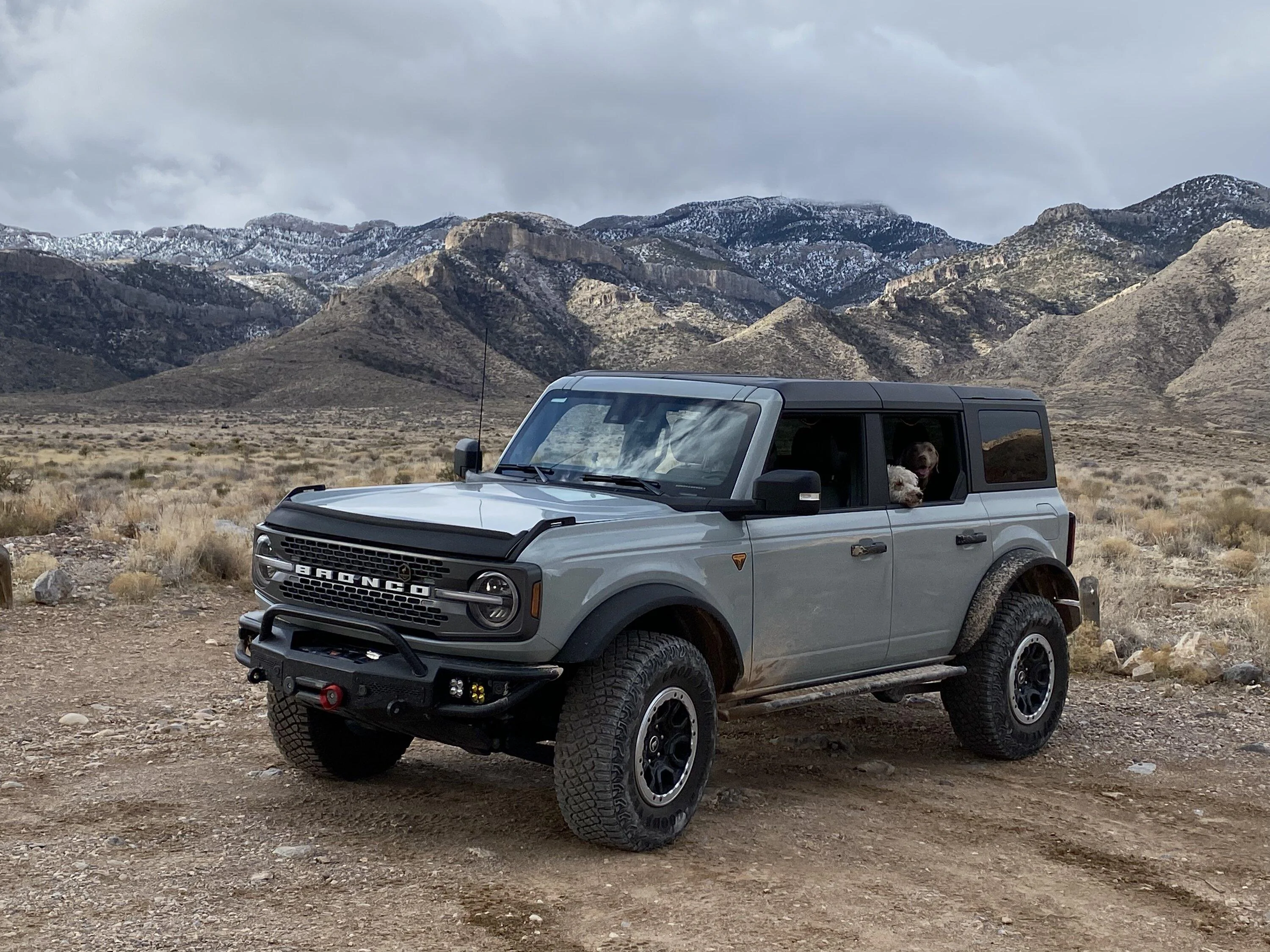 Ford Bronco BAMF Bumper install. Who's done it? 51FB43BE-AB1E-4BF9-96BF-C7357464D46E