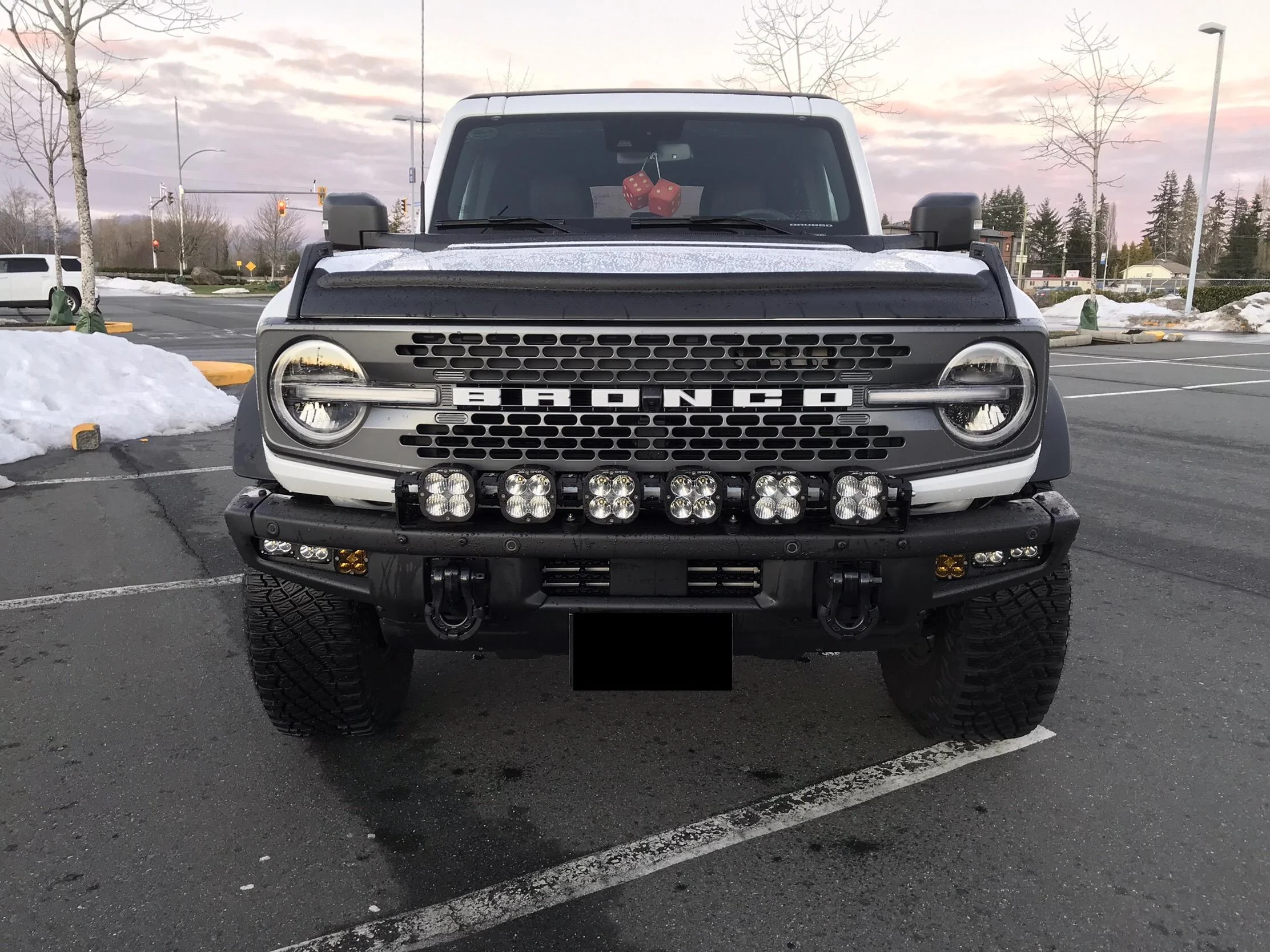 Ford Bronco HD Bumper Set Up Dynamic Diode vs Rigid   ? ? ? ? IMG_2604