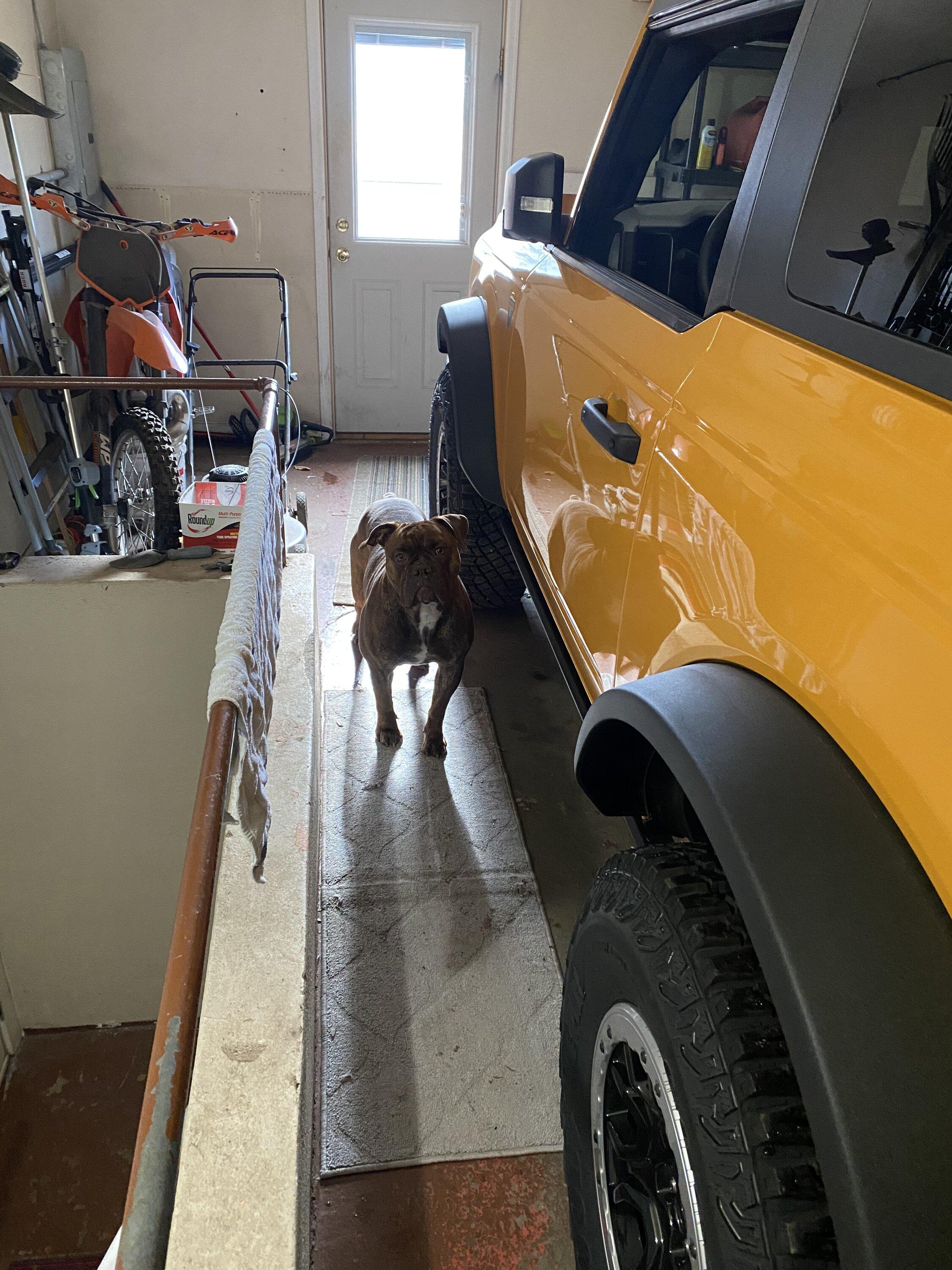 Ford Bronco Post your Bronco's garage mates! 3C7C60A2-4C91-40FF-9907-4A131969912B