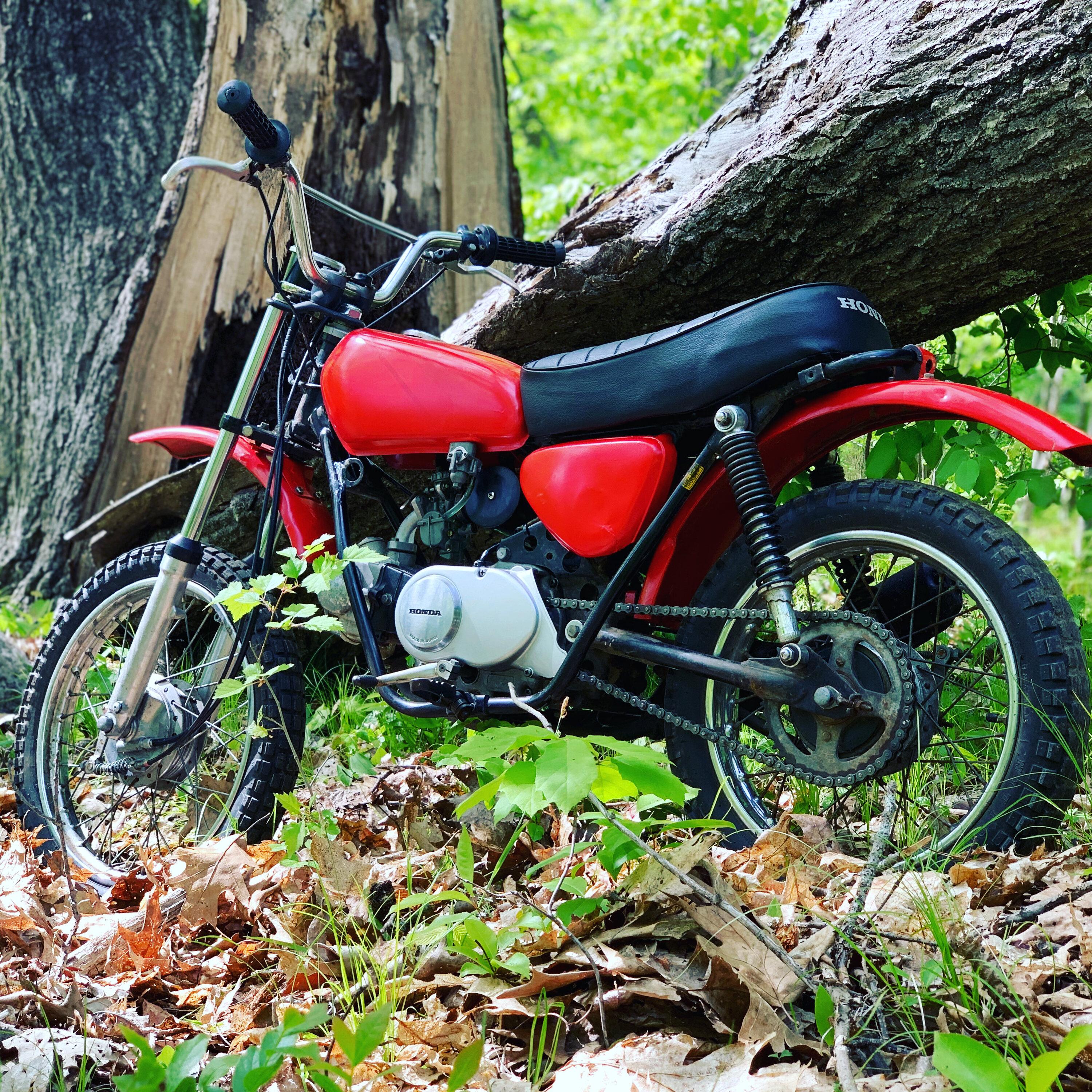 Ford Bronco Anyone Ride a Motorcycle? B7502FF2-26B6-4B8B-BE0B-75E7AF44EF6D