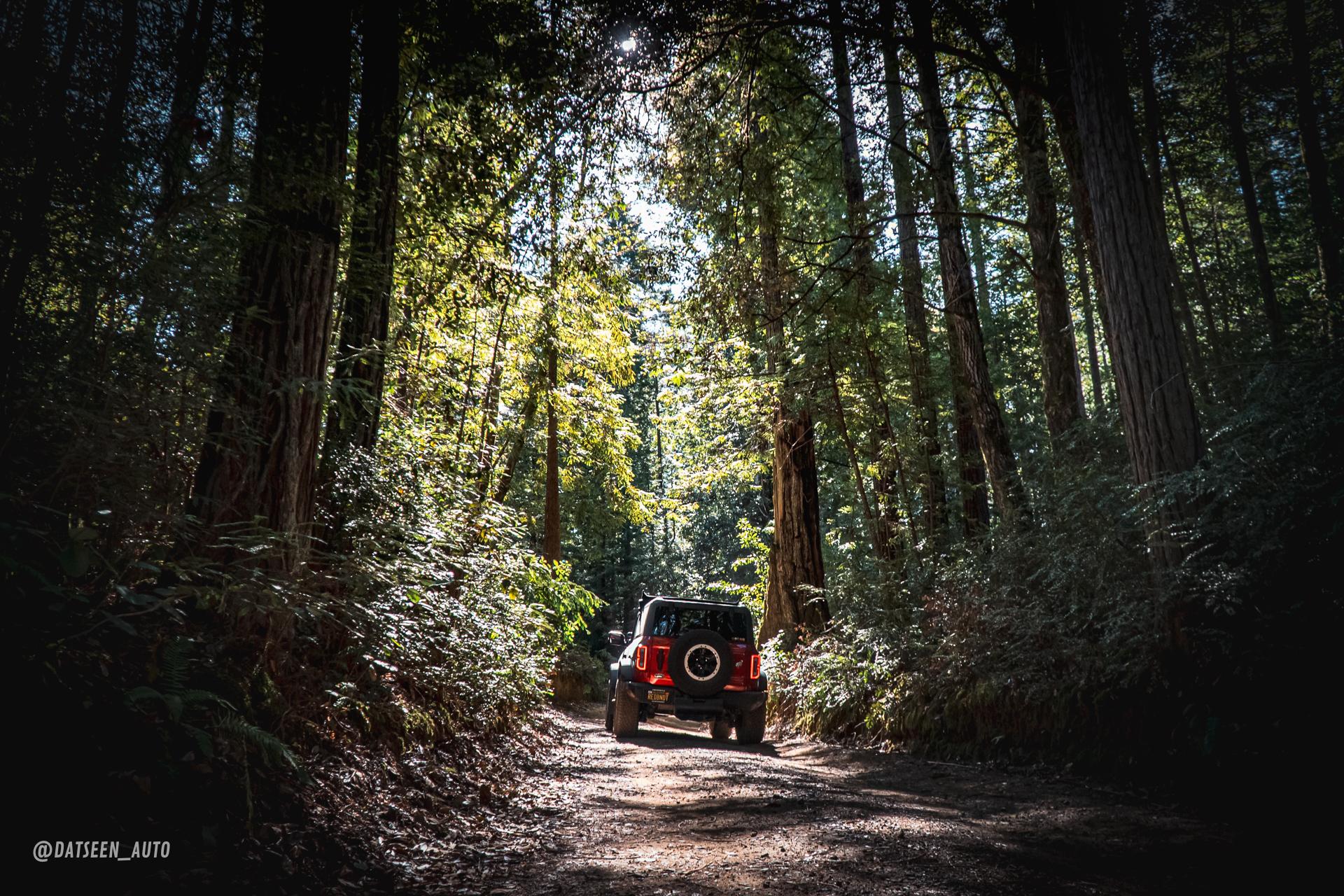 Ford Bronco Lost Coast Trail (NorCal) Attempt DSC06439