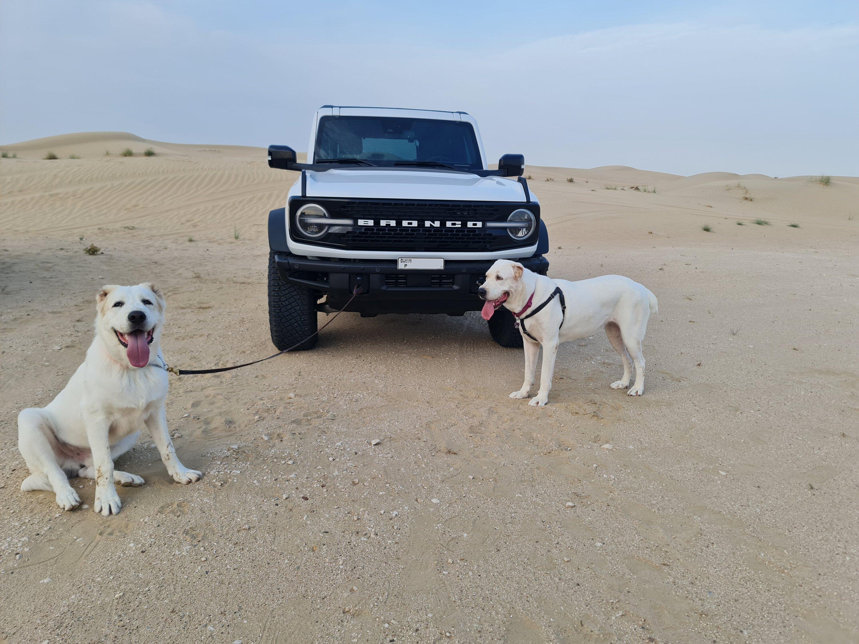 Ford Bronco Then Versus Now! Transformation Time! 20220710_064306